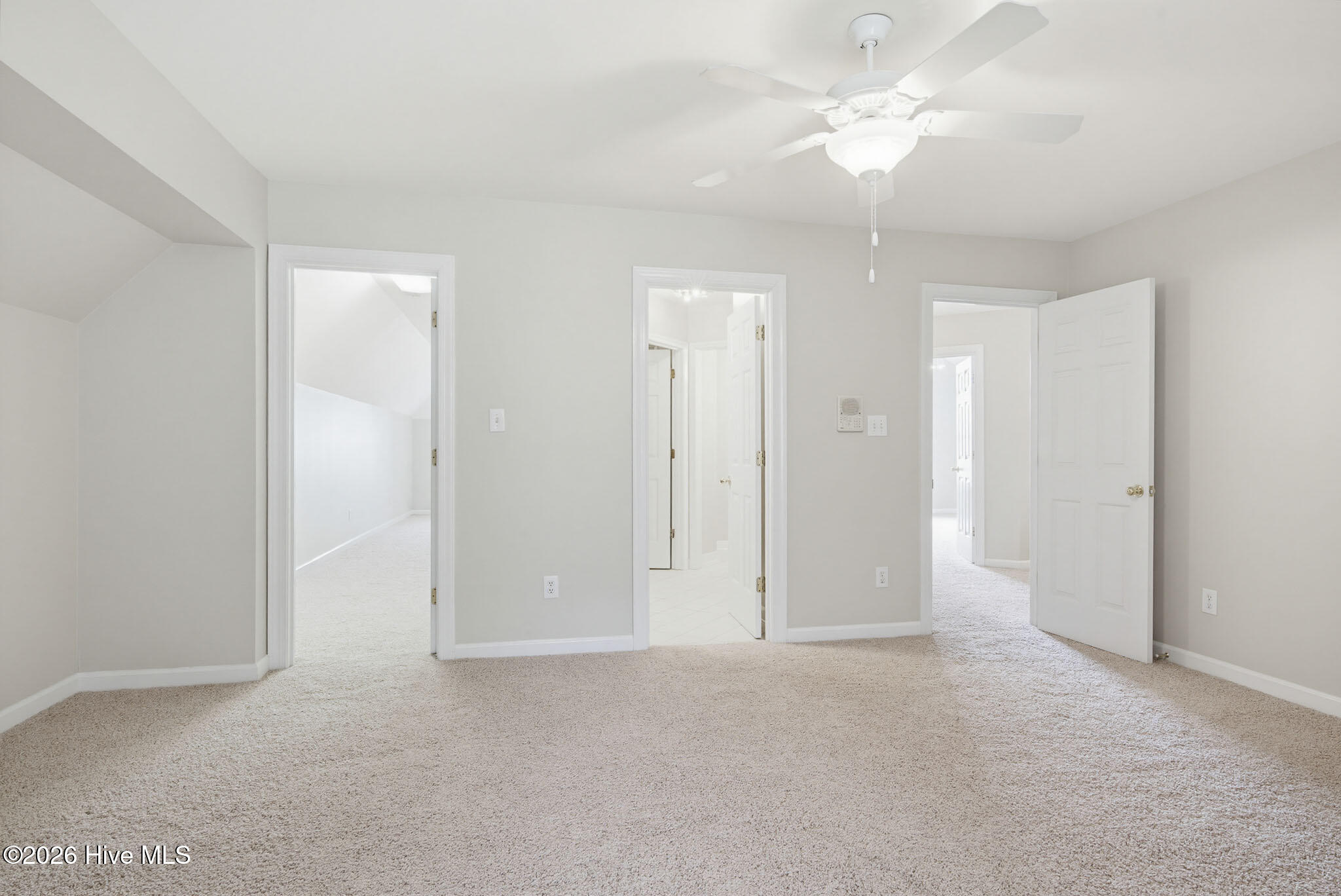 100570266 | Photo 50