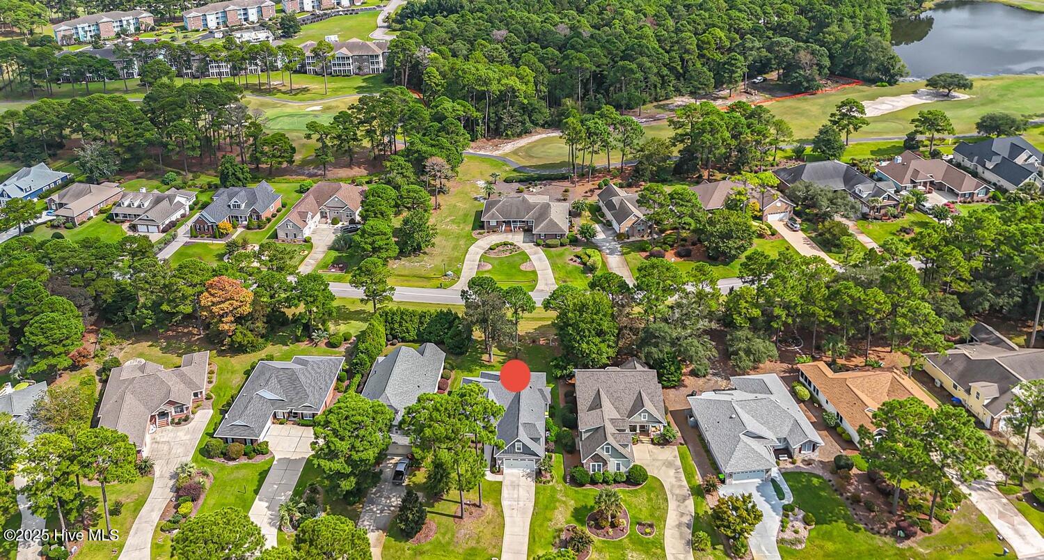 100558918 | Photo 67