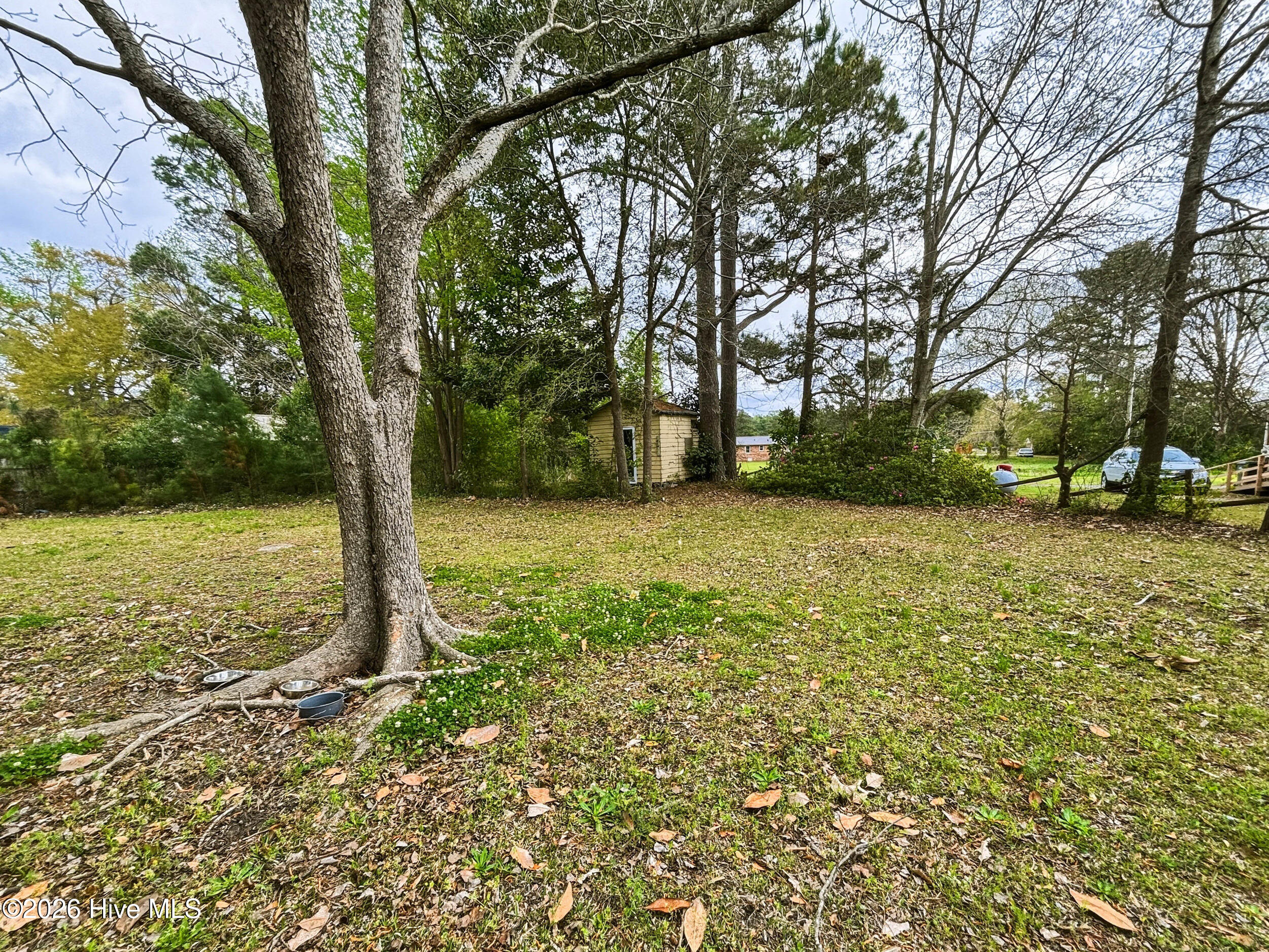 100564233 | Photo 21