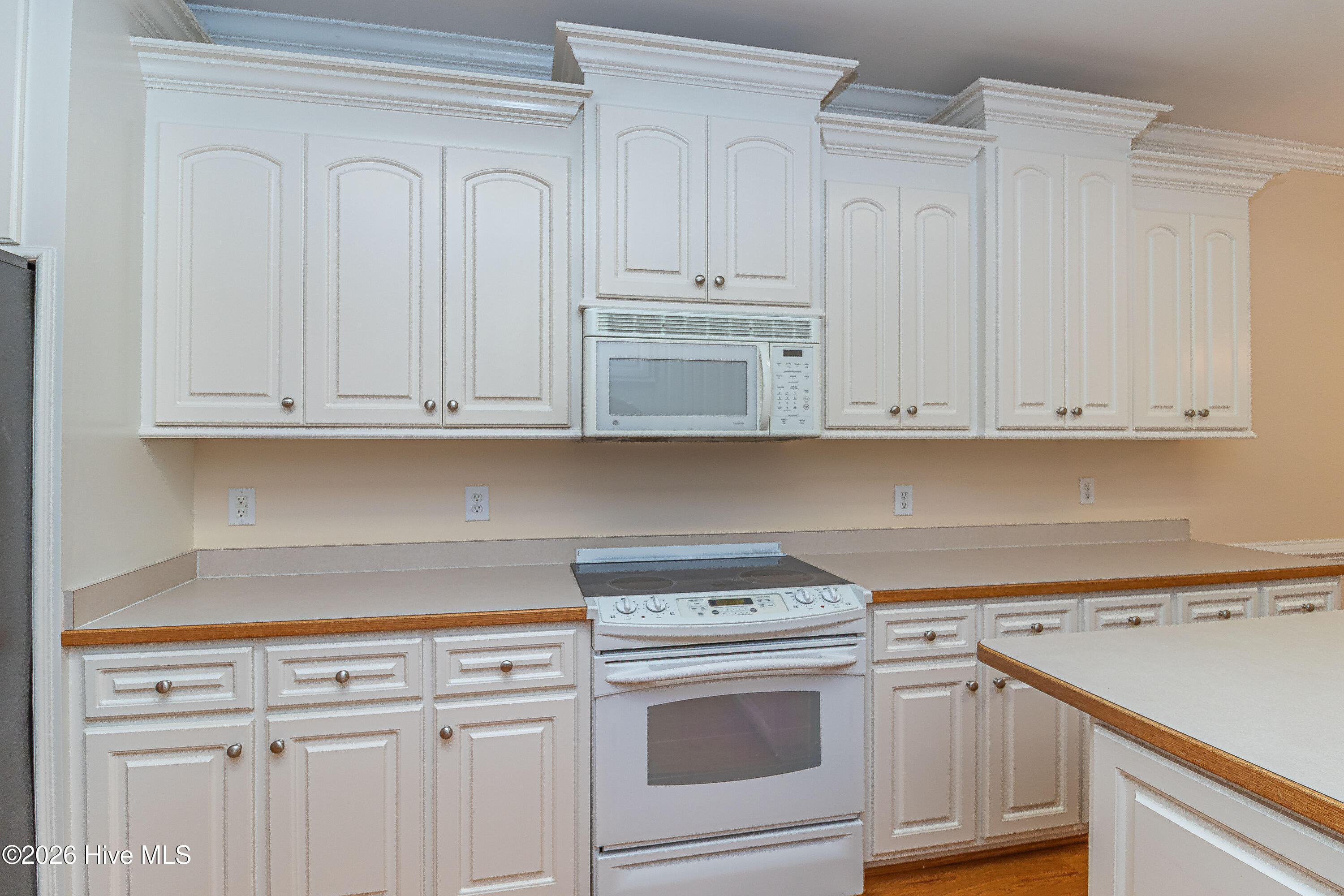 203 Sevendales Drive, Goldsboro, NC 27534 Listing Photo  18