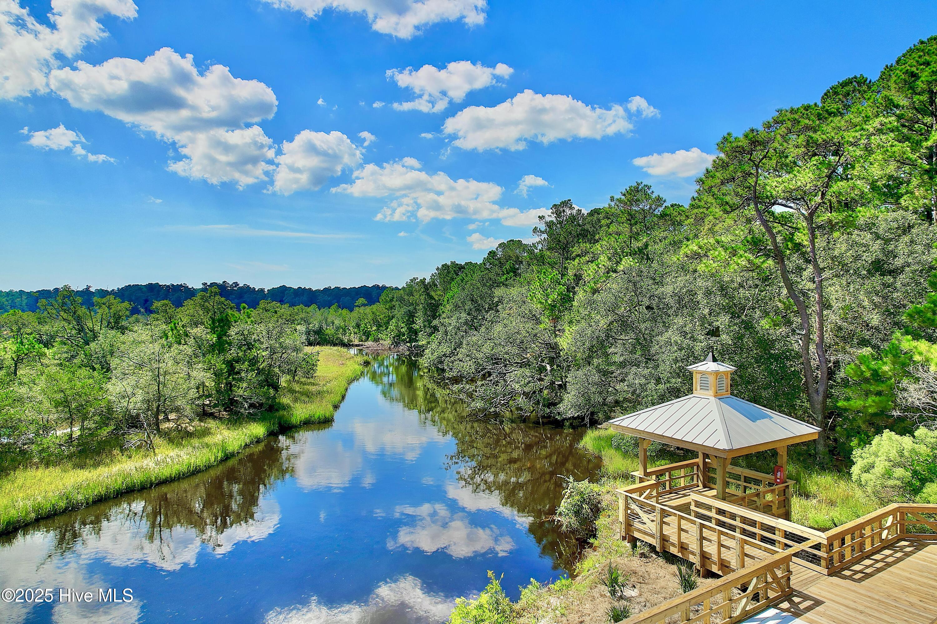 100499491 | Photo 12