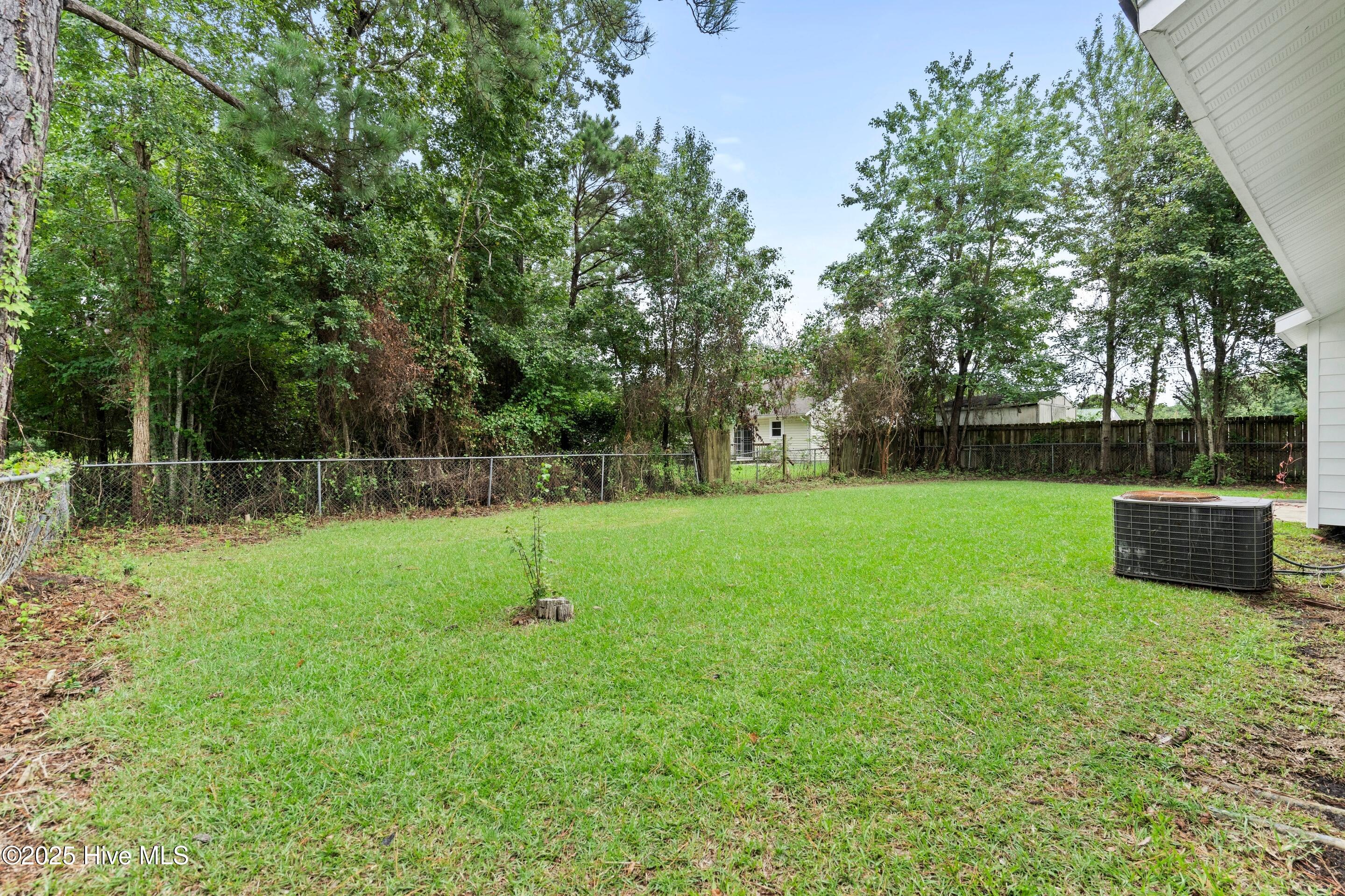 100523596 | Photo 48