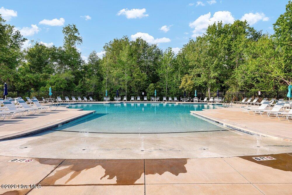 100568146 | Photo 30