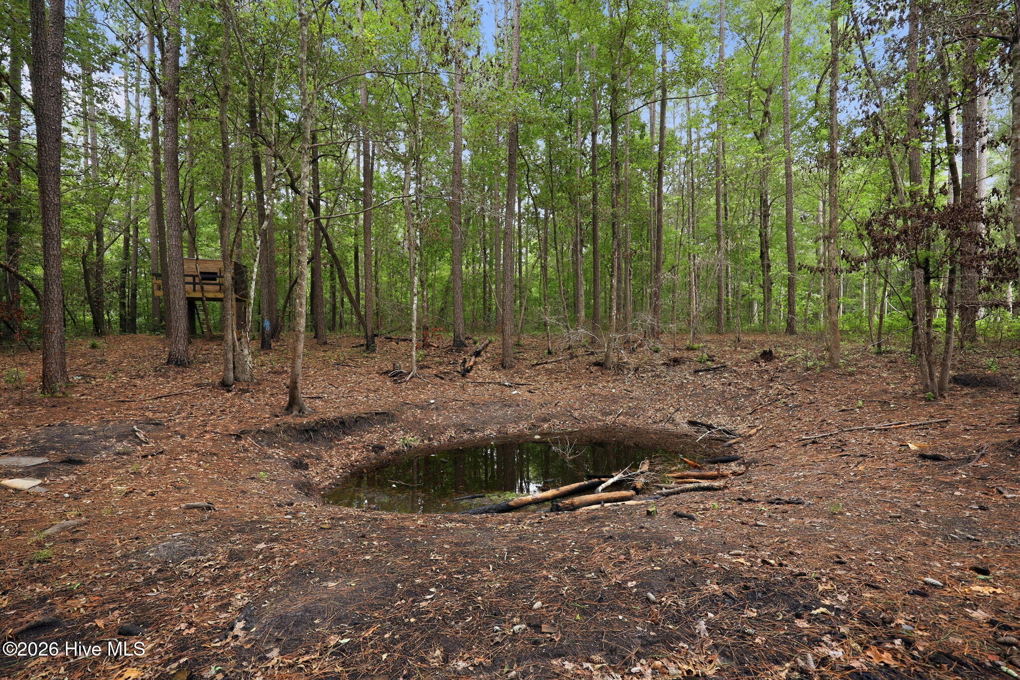 407 Rustic Court,Pollocksville