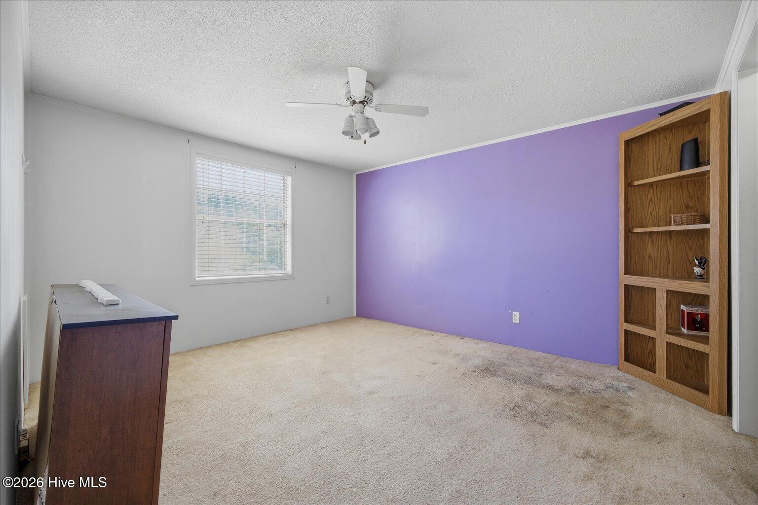 100569613 | Photo 14