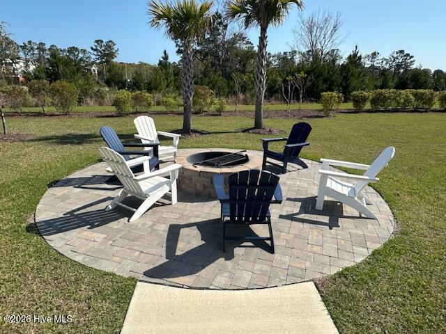 100564895 | Photo 13