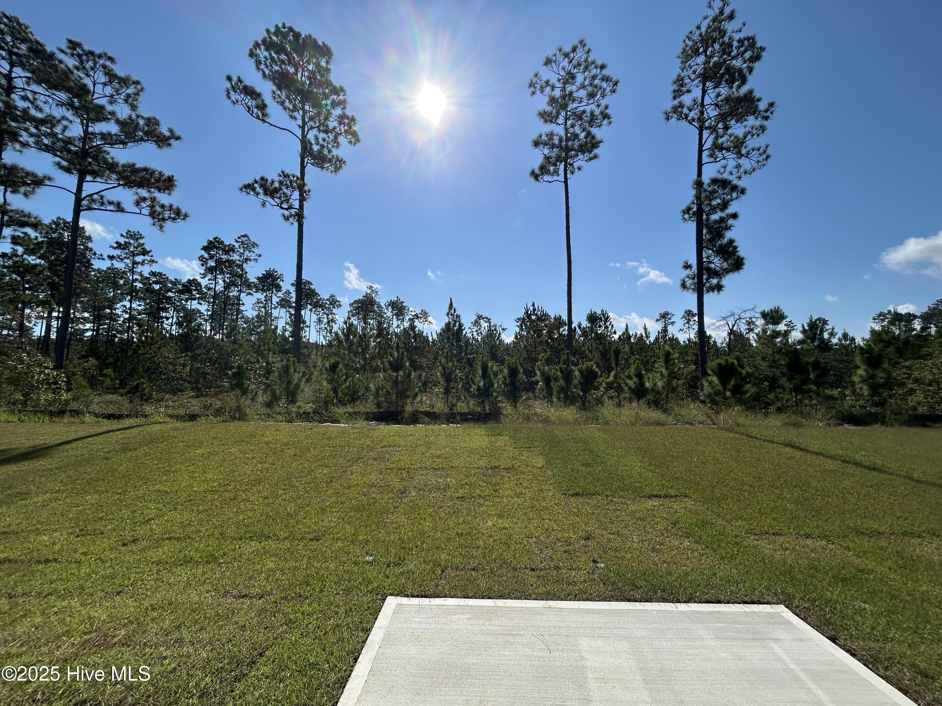 568 Coronado Avenue SE 16, Leland, NC 28451 – photo 18: Backyard