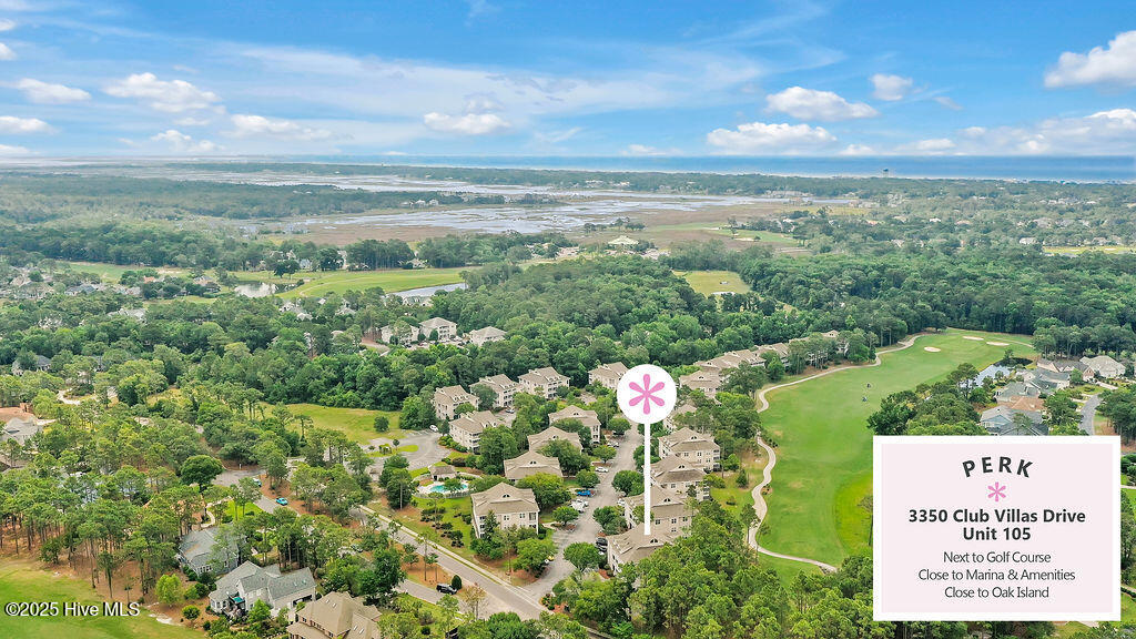 100554585 | Photo 34