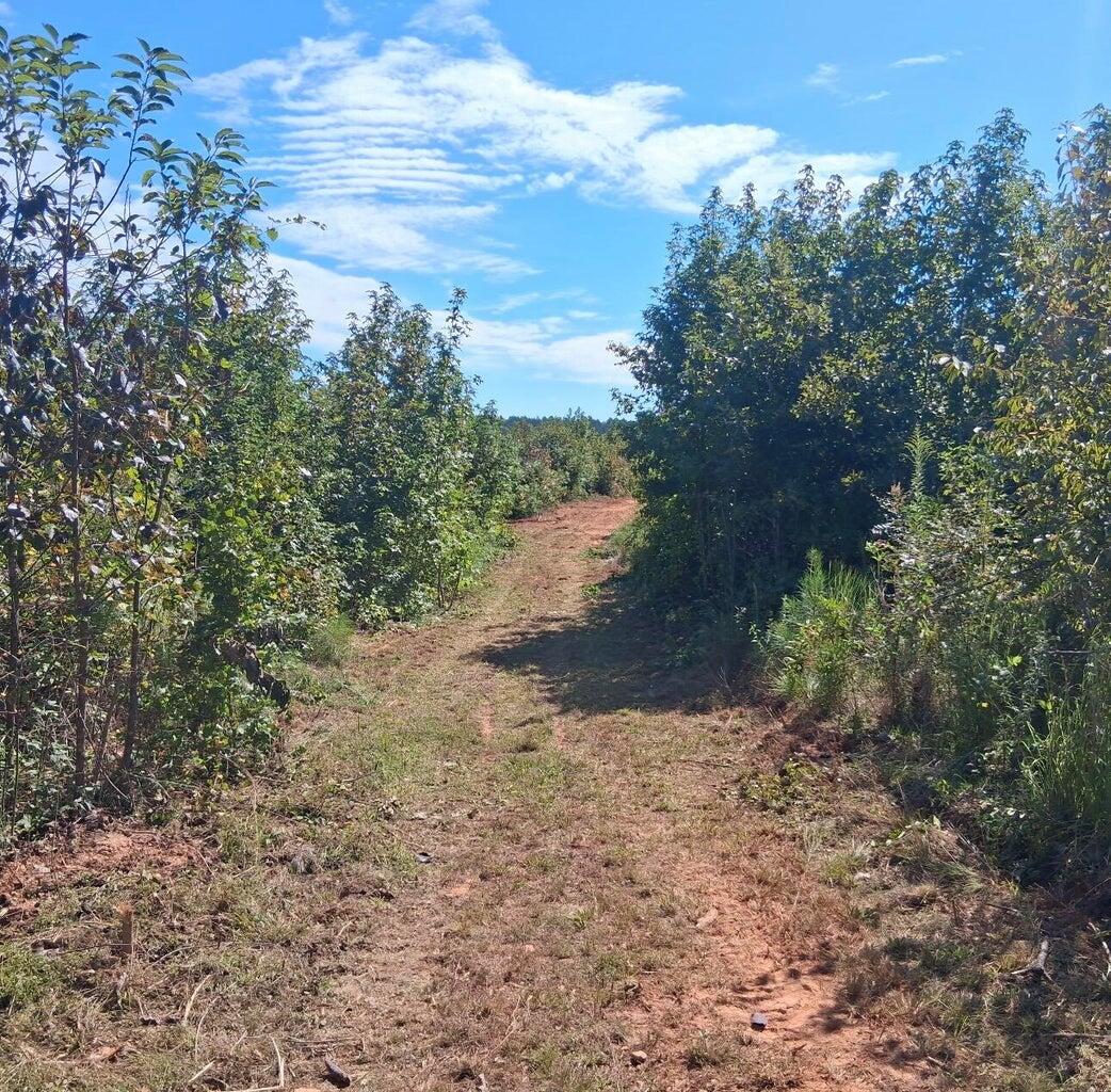 Homes for sale in Troy, SC | 30A Bowie Rd, Troy, SC 29848 | MLS# 549699