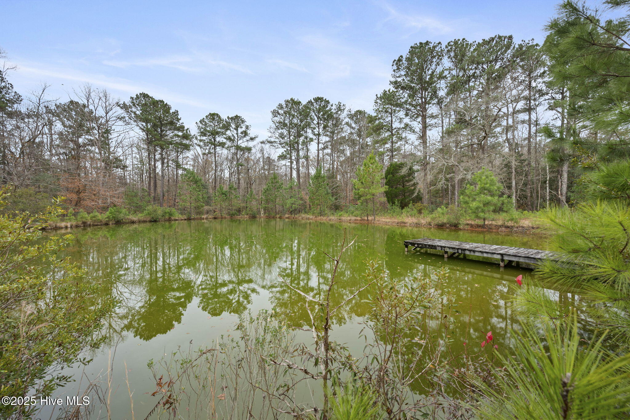 100546888 | Photo 25