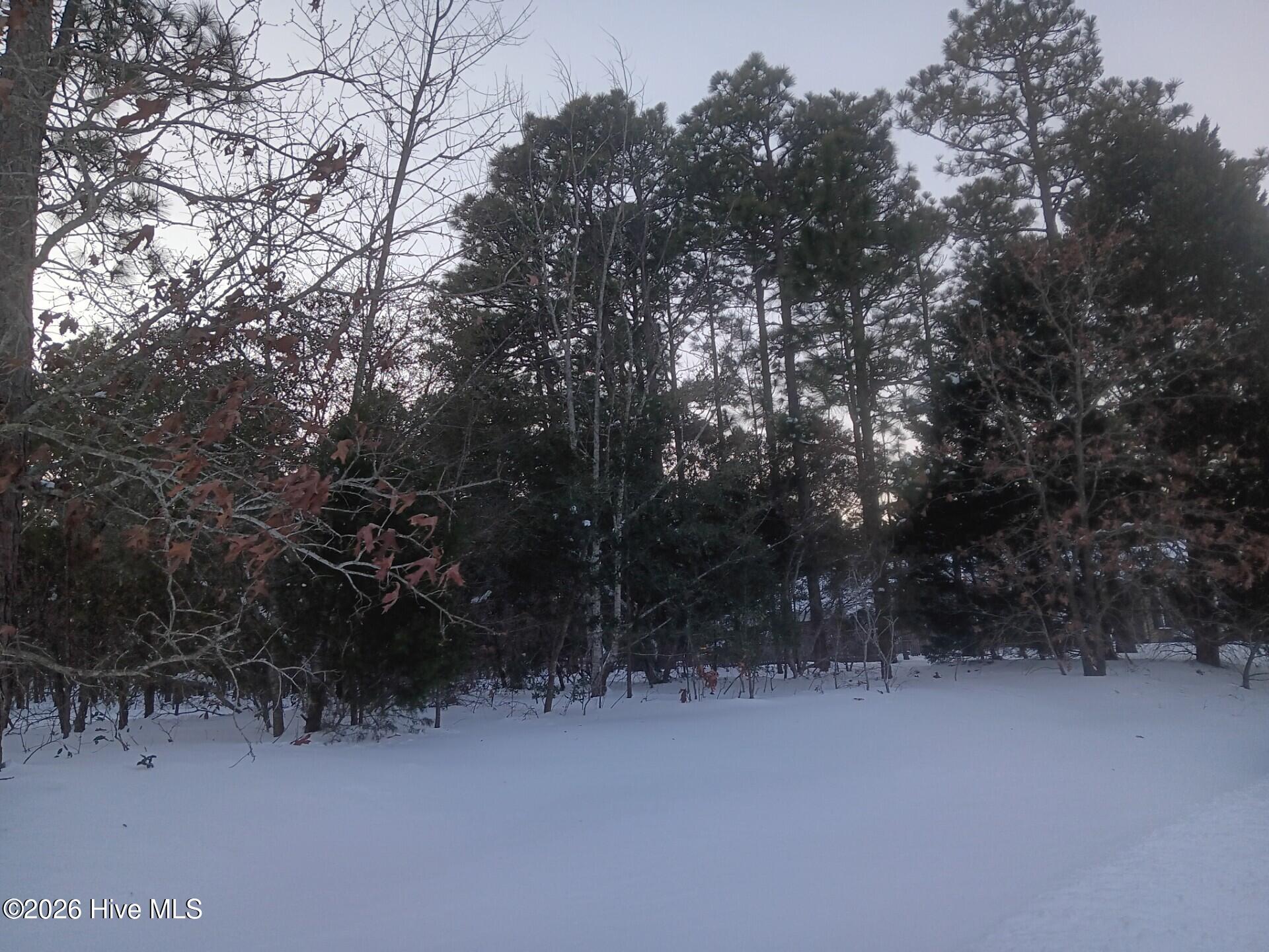 Homes for sale in Southern Pines, NC | 105 Steeplechase Wy, Southern Pines, NC 28387 | MLS# 100552384