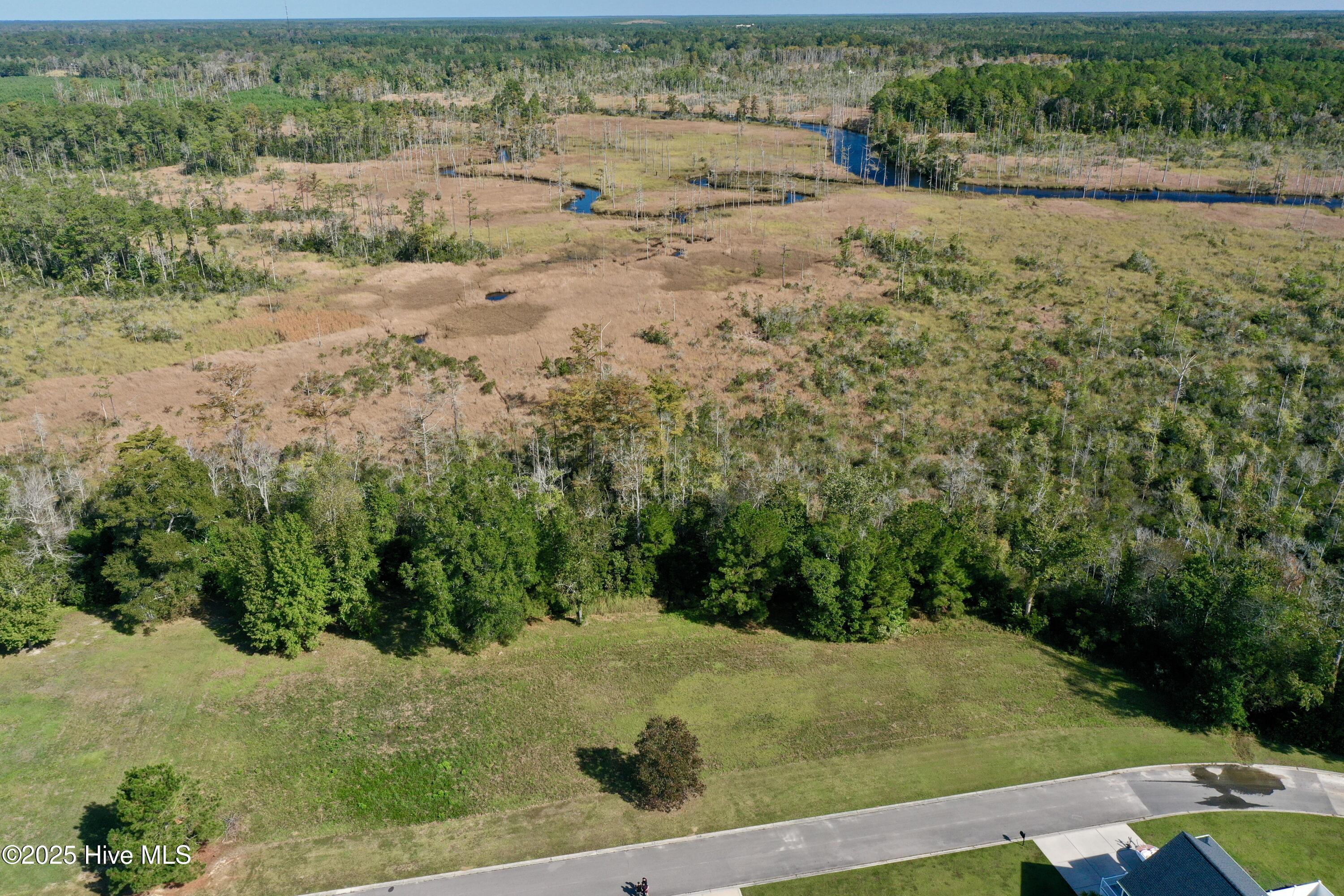 100535881 | Photo 25