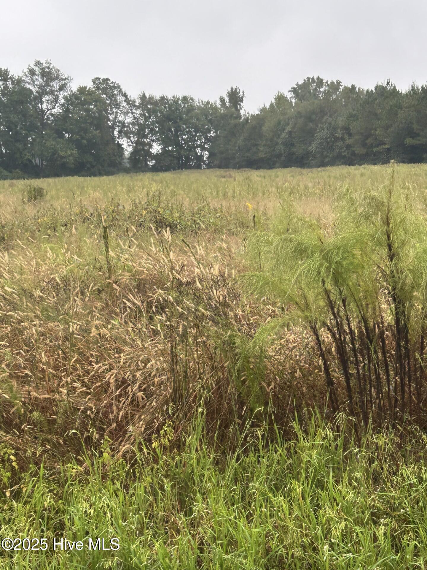 Property at 11.98 Pelham Road