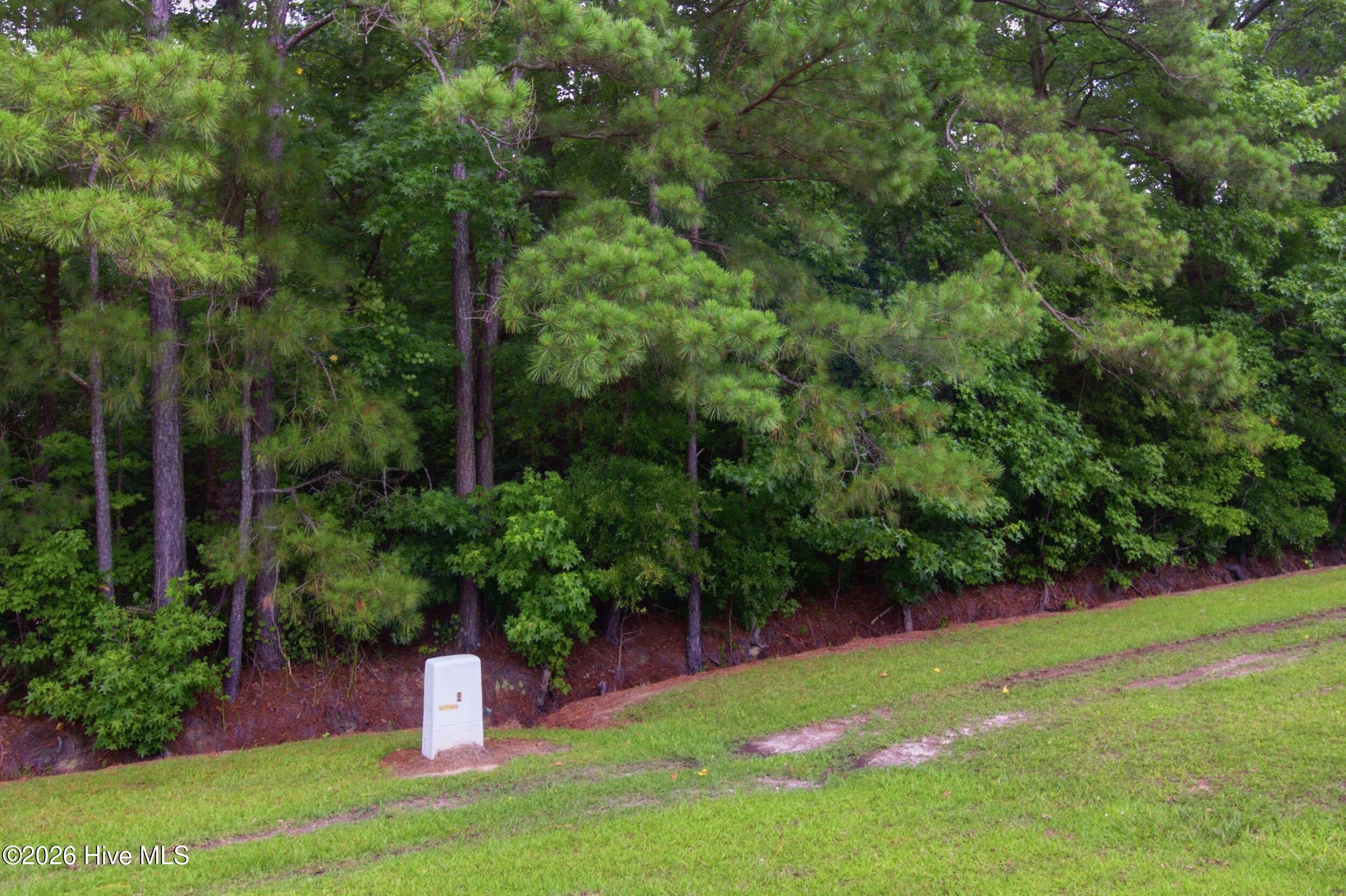 N/A Spring Garden Road,New Bern