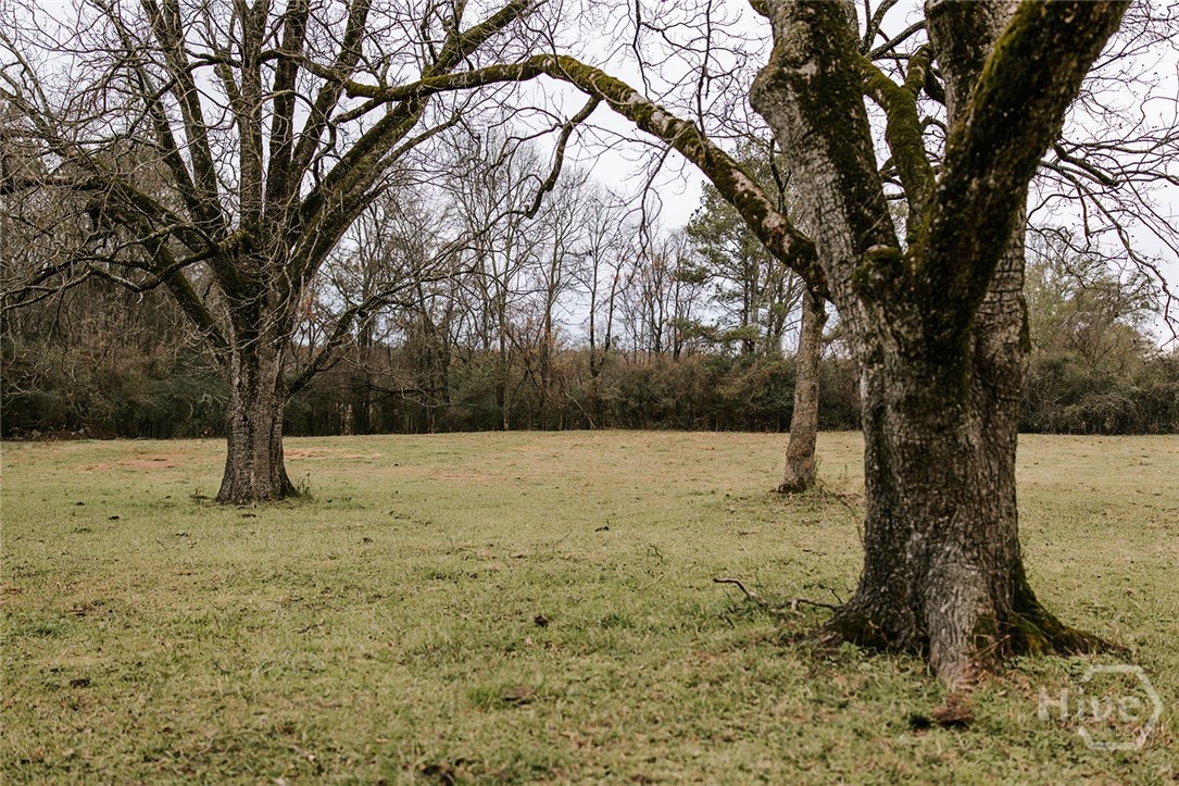 0 Sandy Cross Road, Lexington, GA, 30648