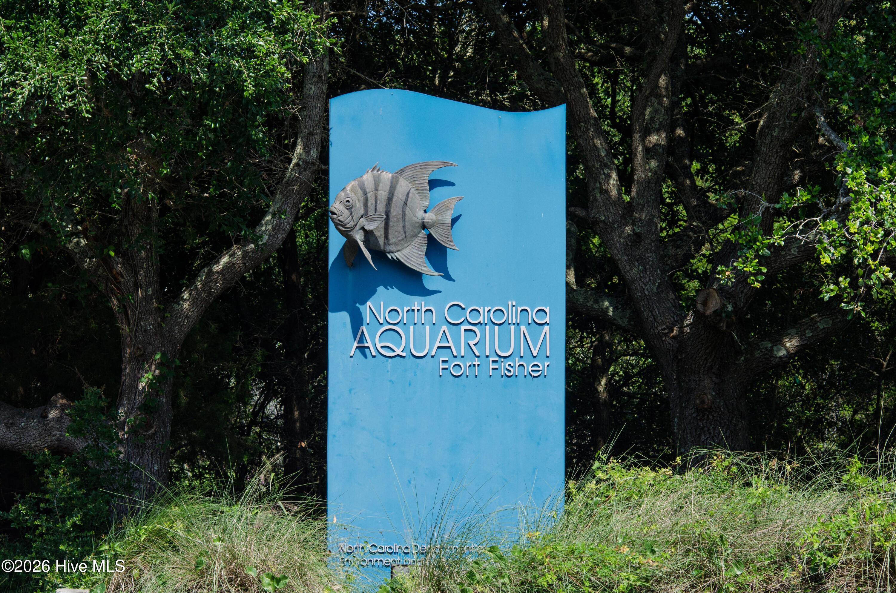 100557197 | Photo 40