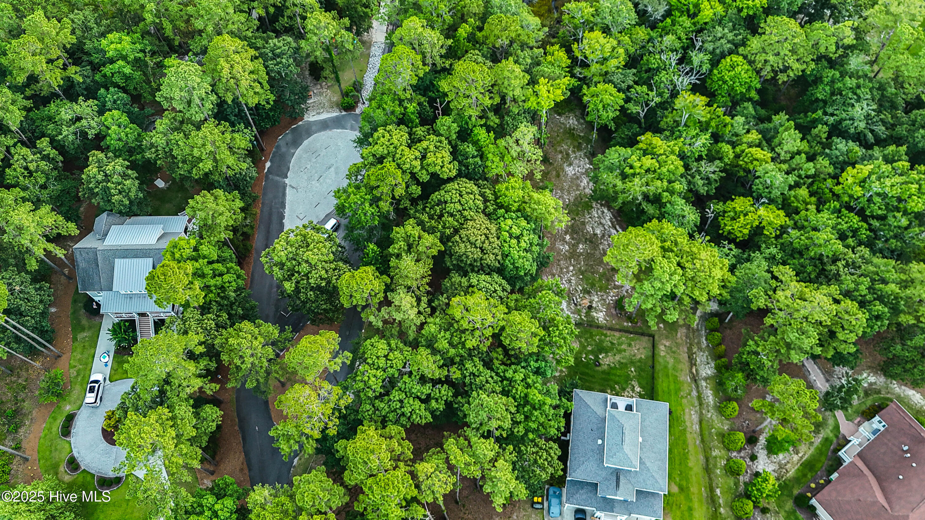 100516751 | Photo 22