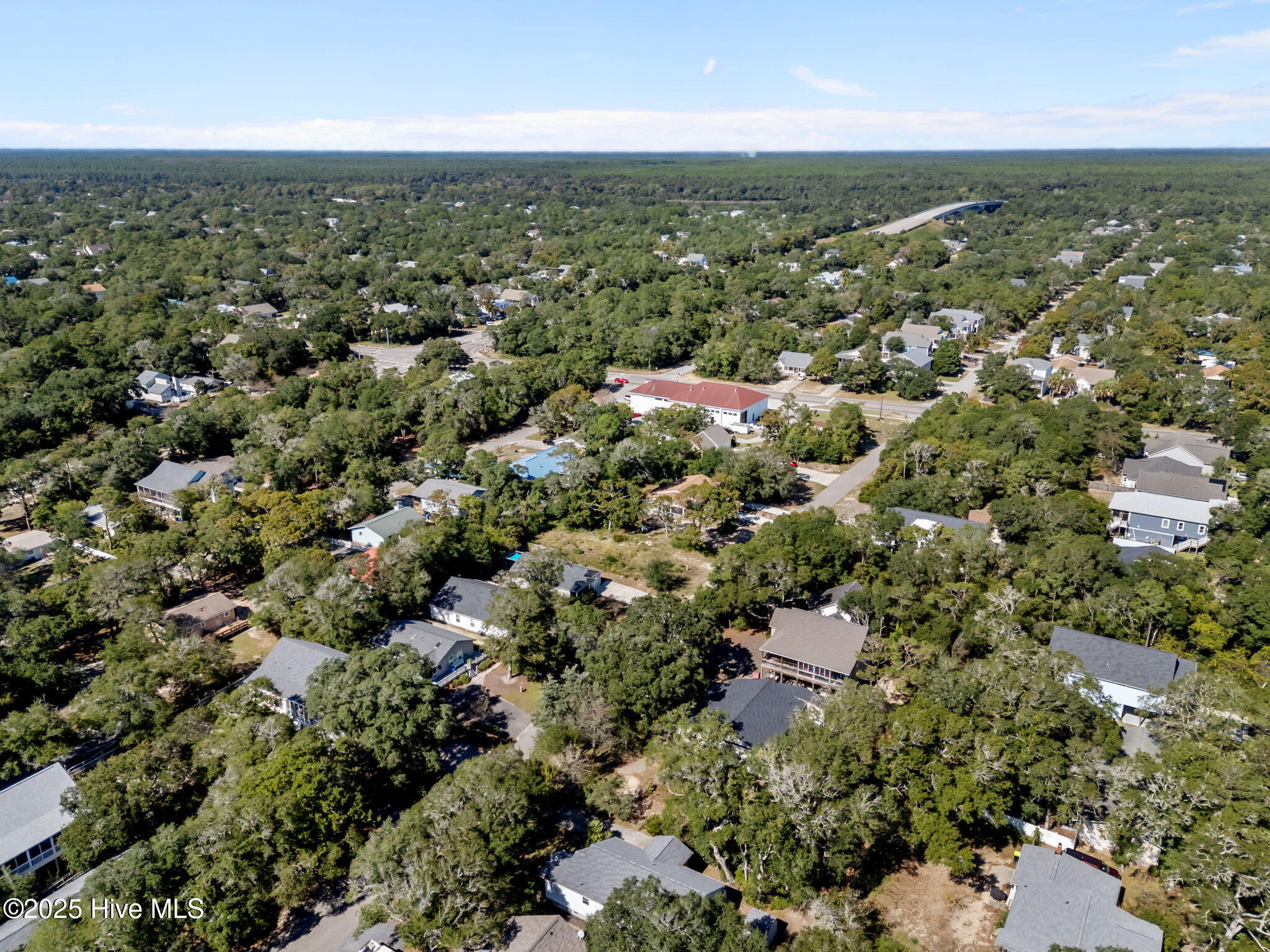 100536302 | Photo 51