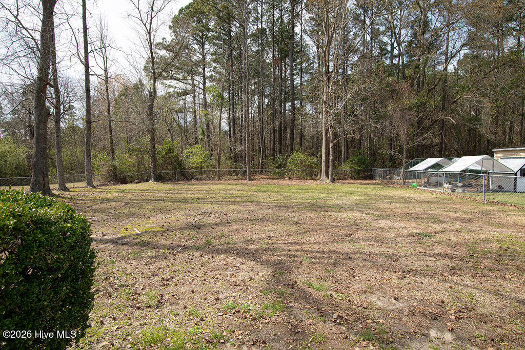 100566377 | Photo 30