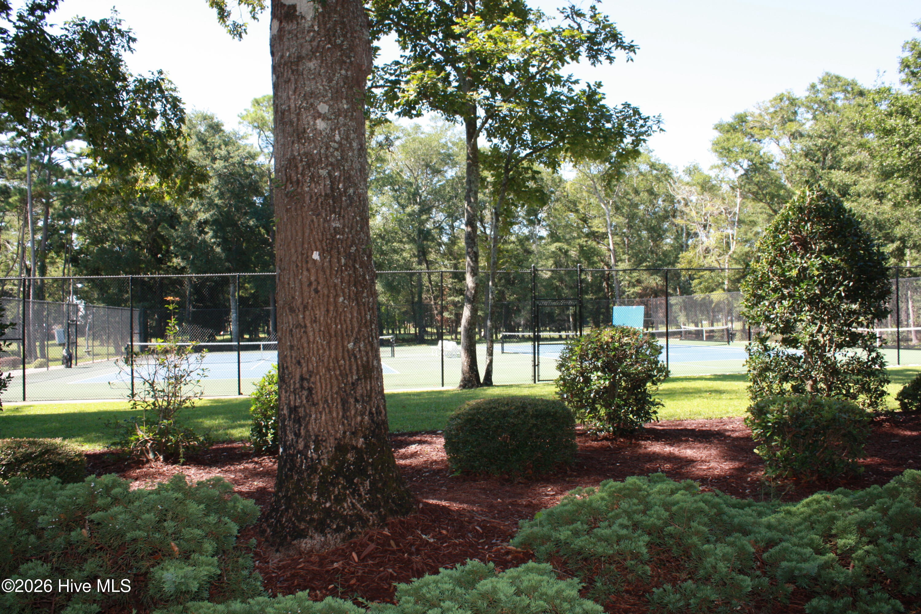 100567872 | Photo 74