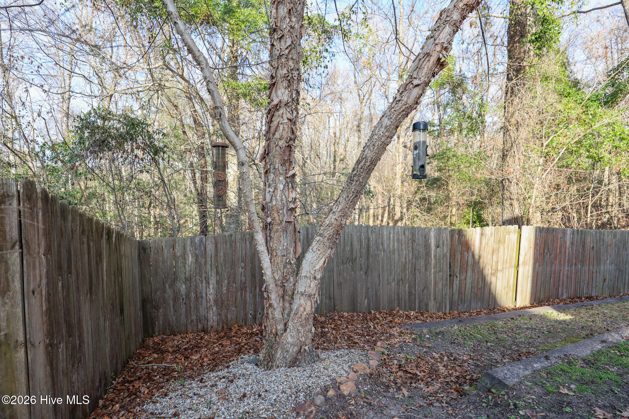 100559390 | Photo 54