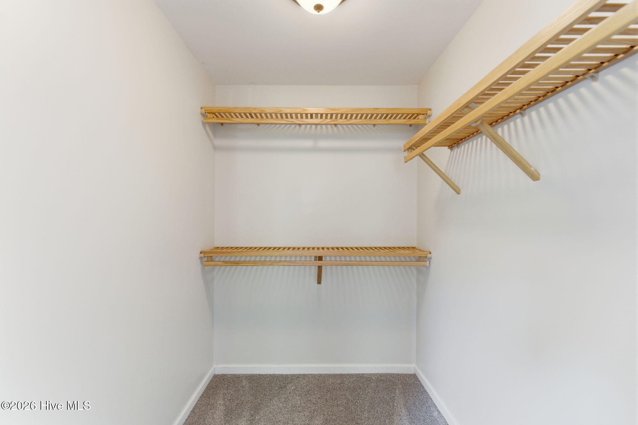 100570118 | Photo 23