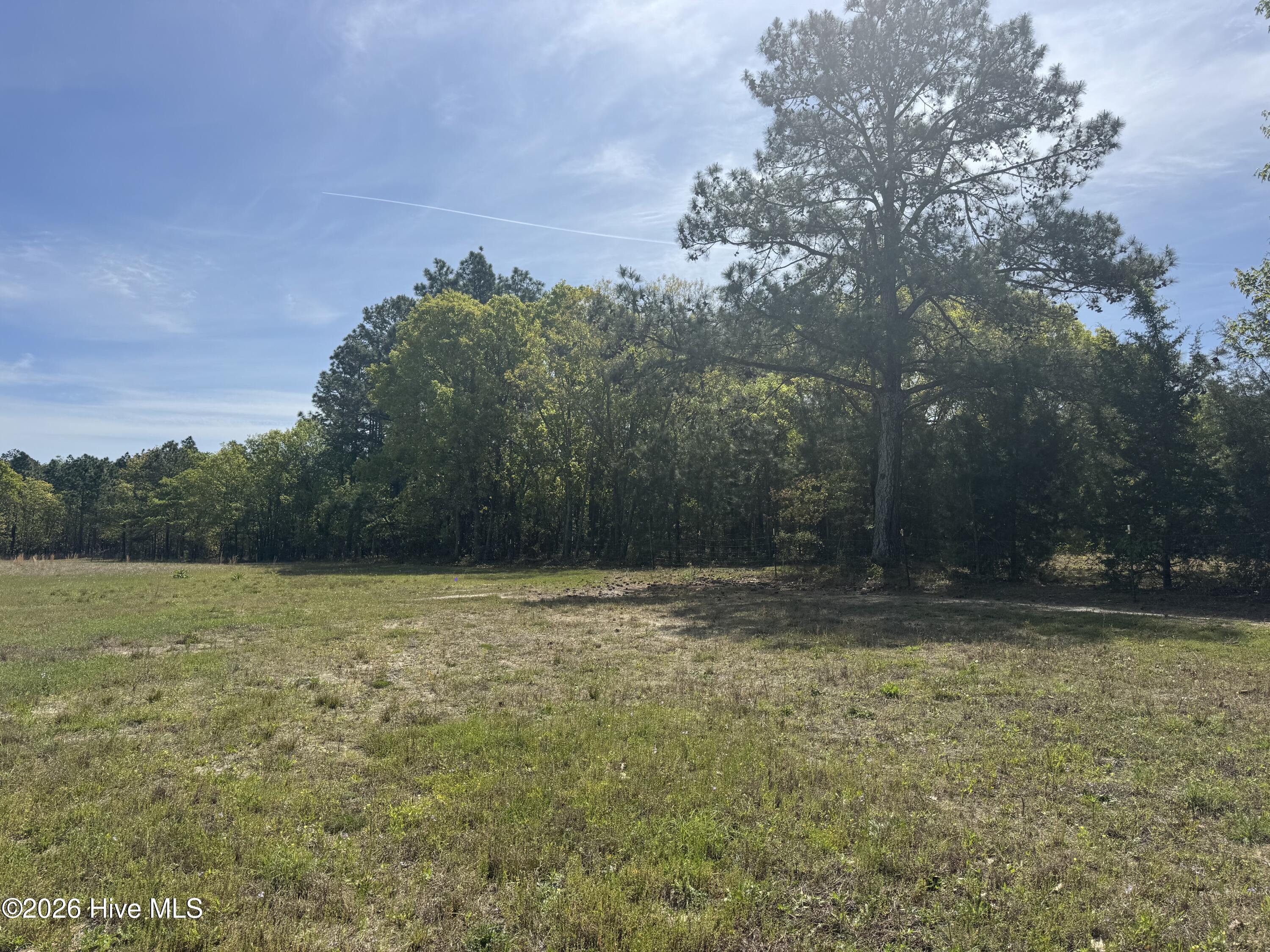 490 Springhill Church Road, Hamlet, NC, 28345