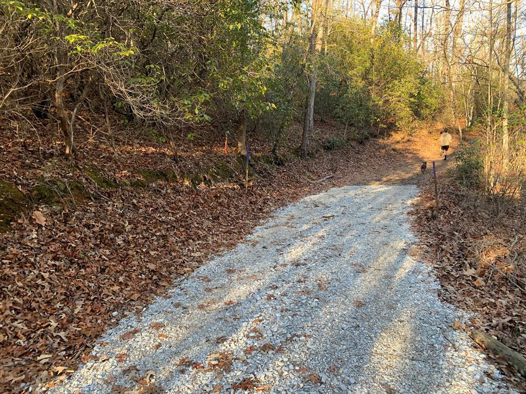 Exterior photo of 166 Qualla Trail, Murphy, NC 28906. MLS: 98524232