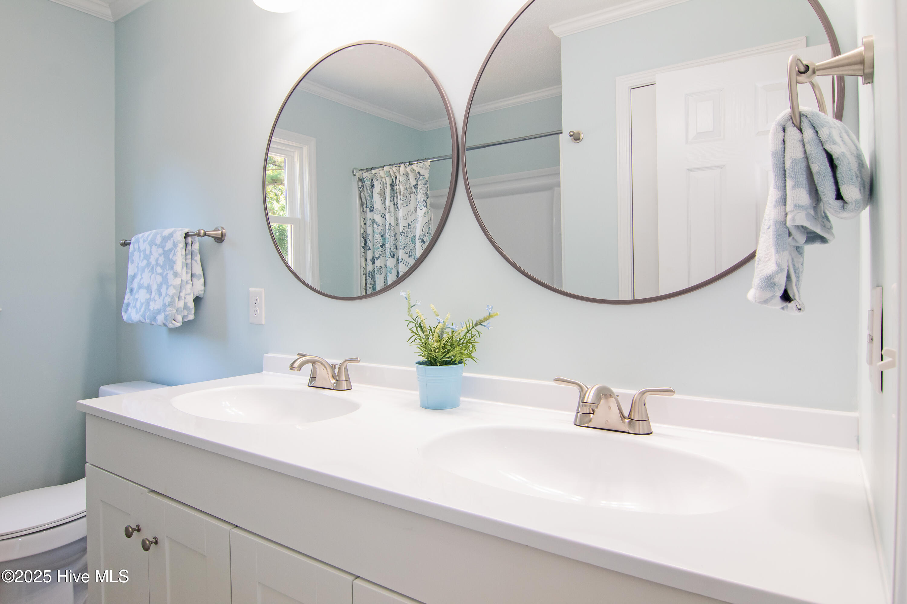 100529412 | Photo 25