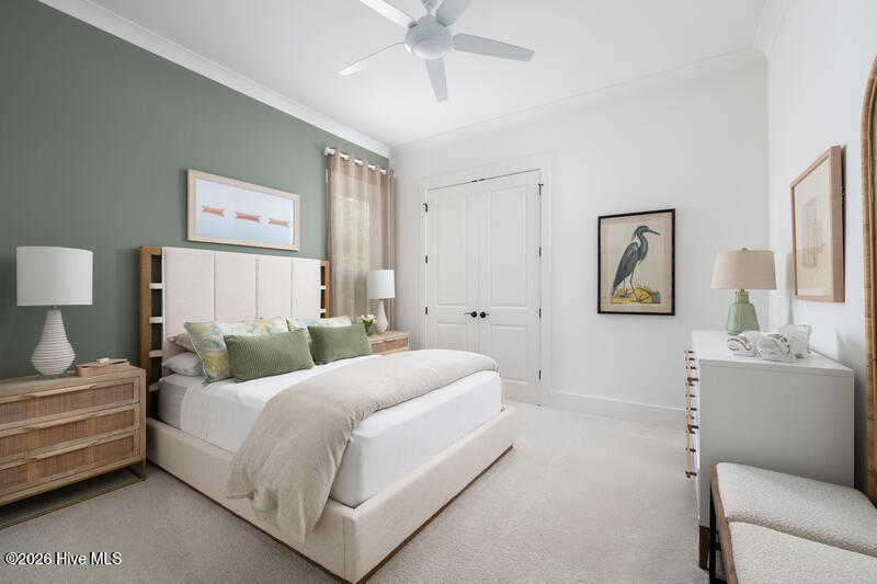 100554791 | Photo 13