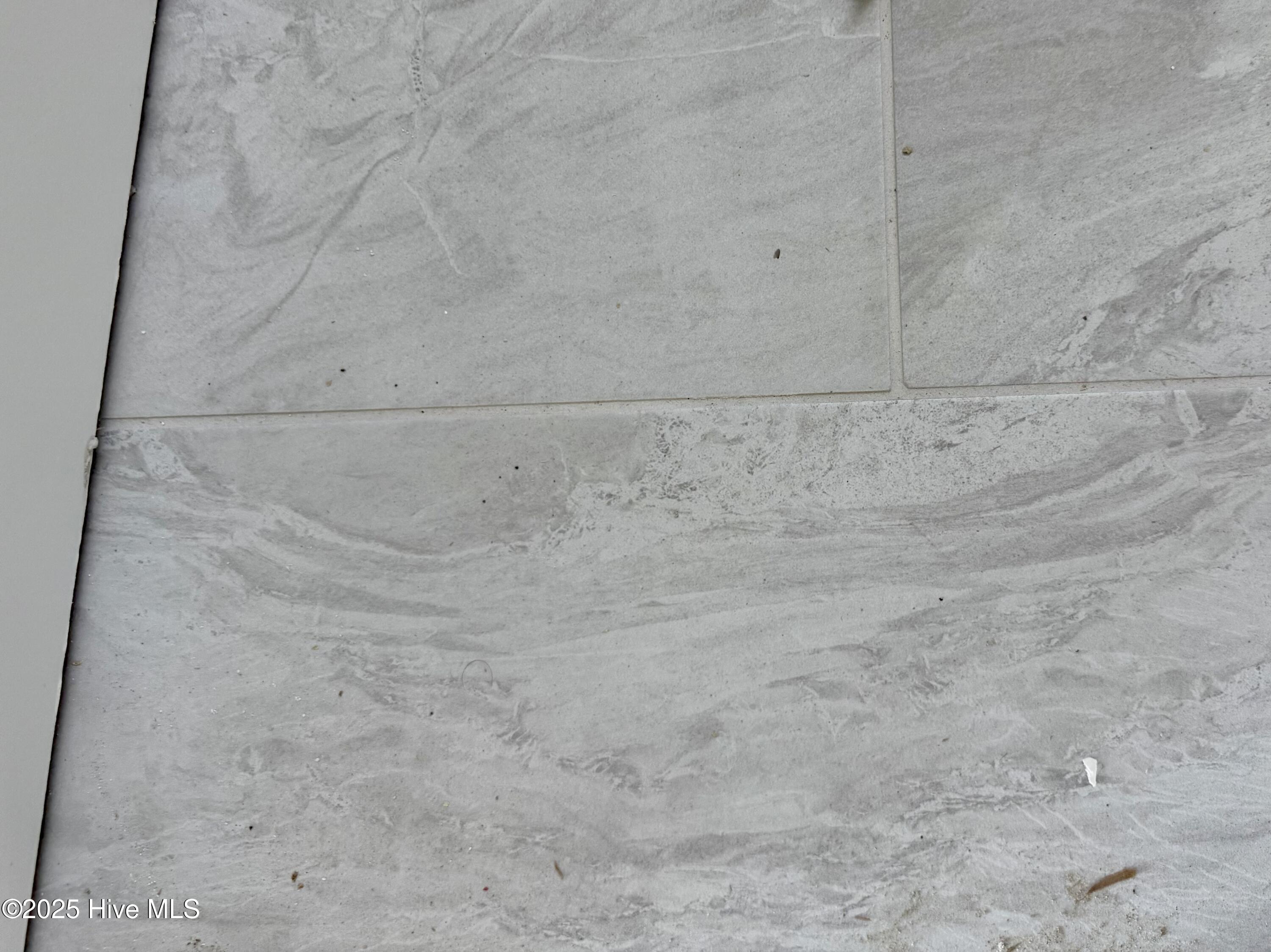 100496127 | Photo 19