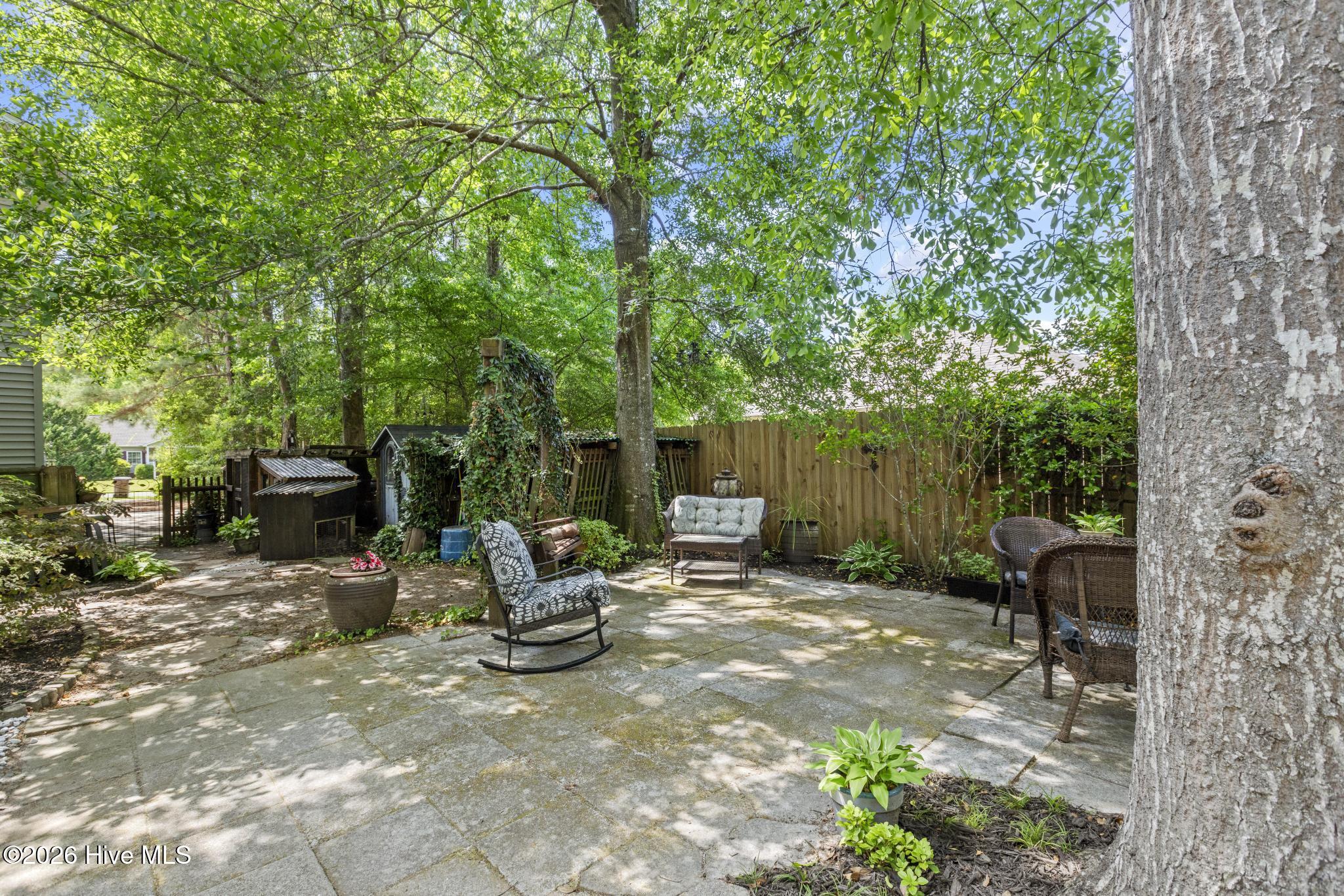 100569223 | Photo 62