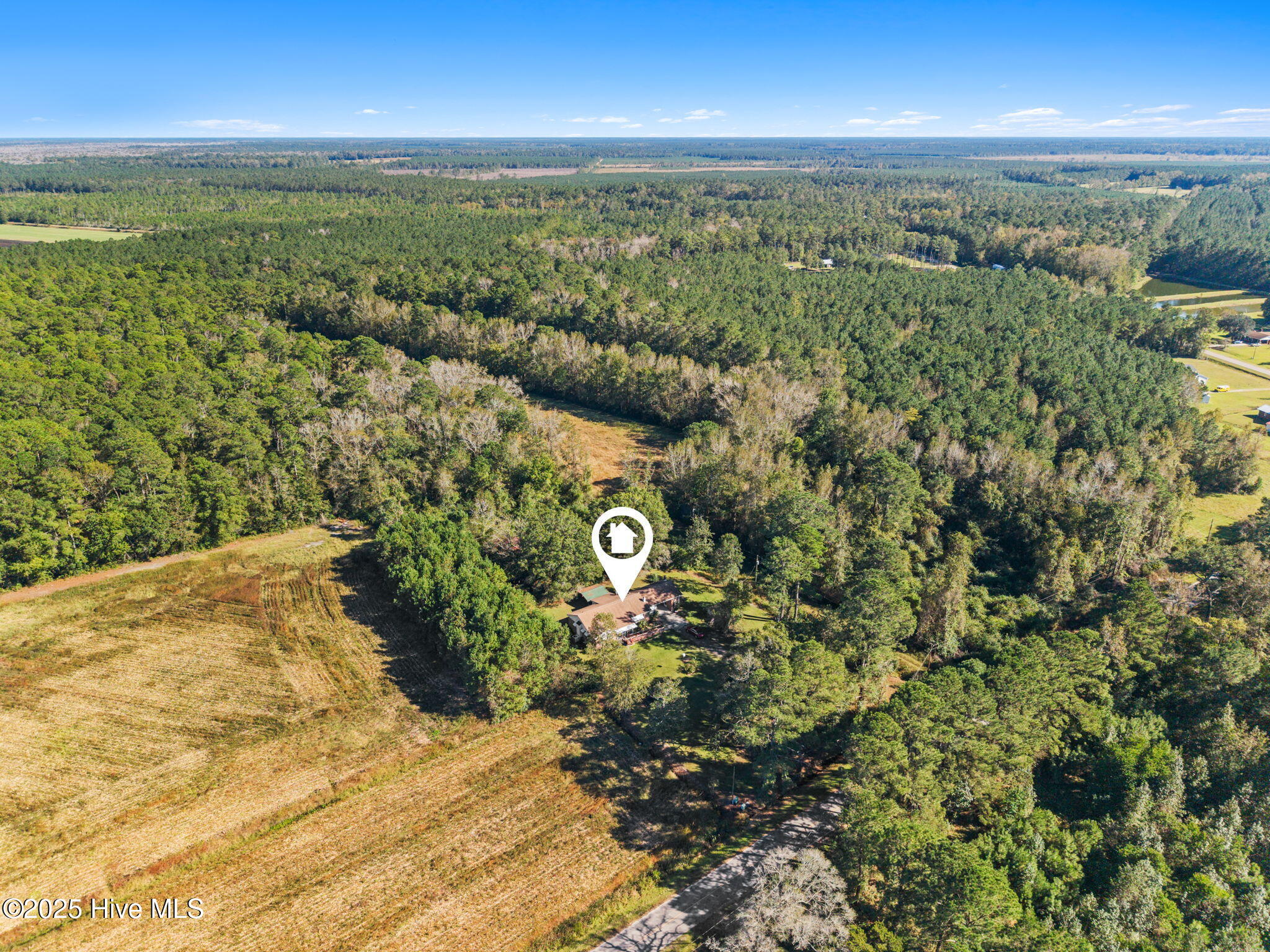 100537275 | Photo 28