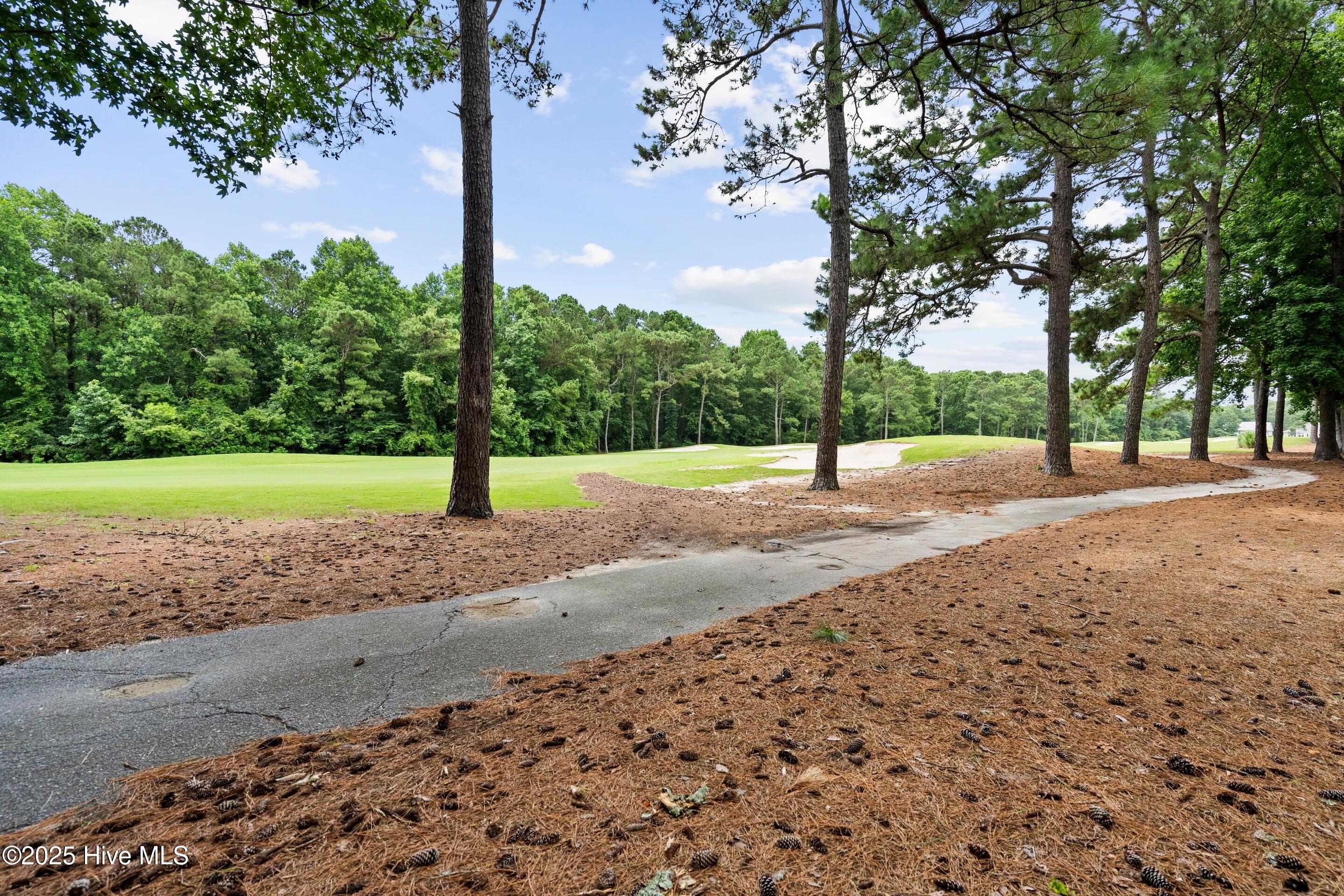 100517106 | Photo 53