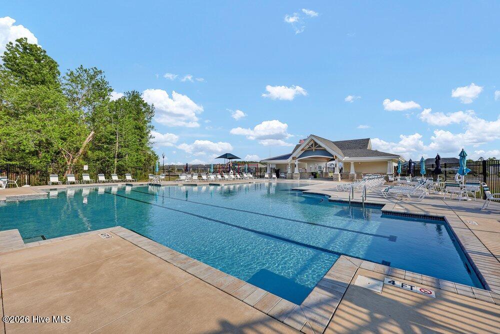 100568146 | Photo 31