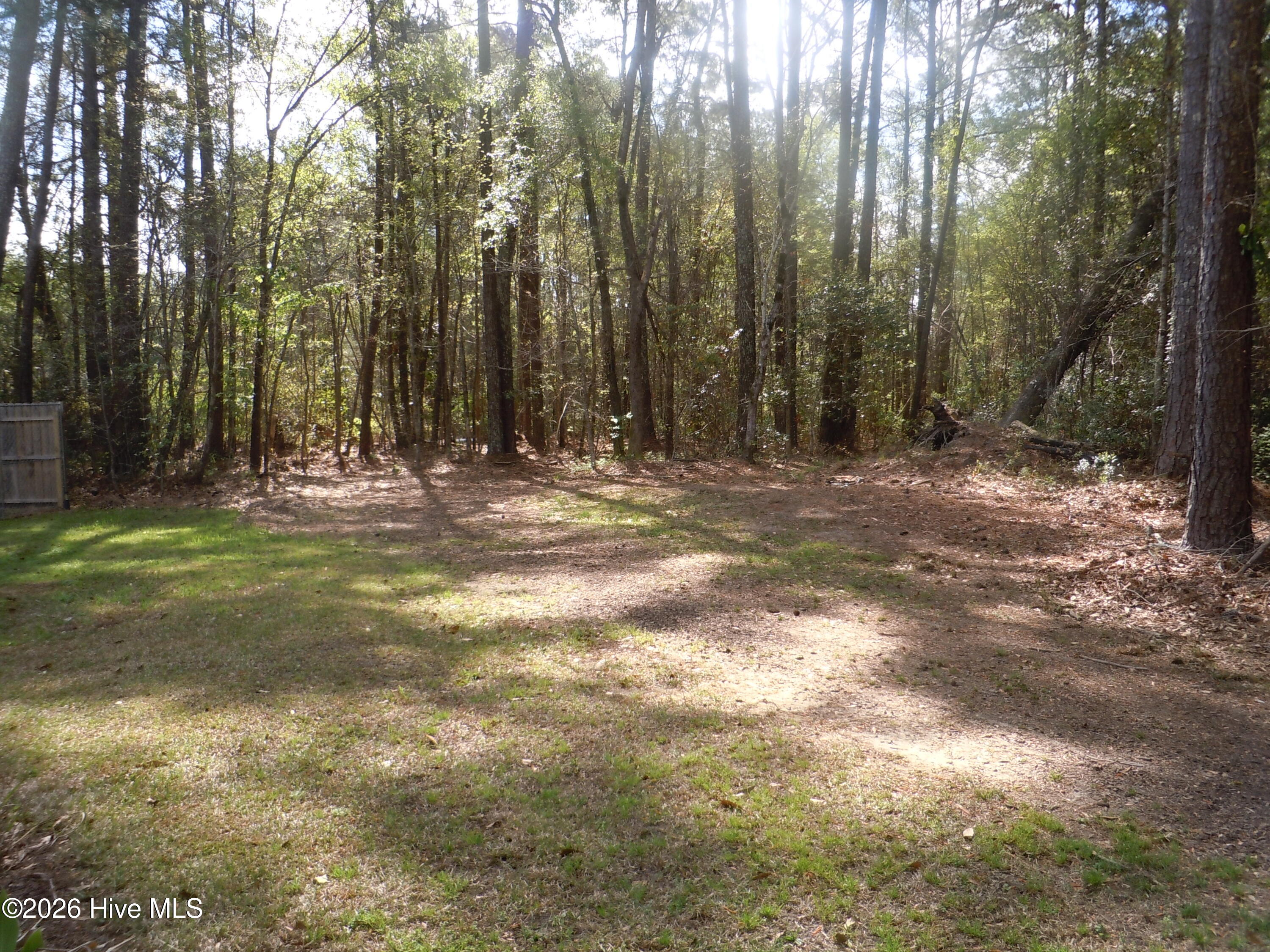 100565129 | Photo 107