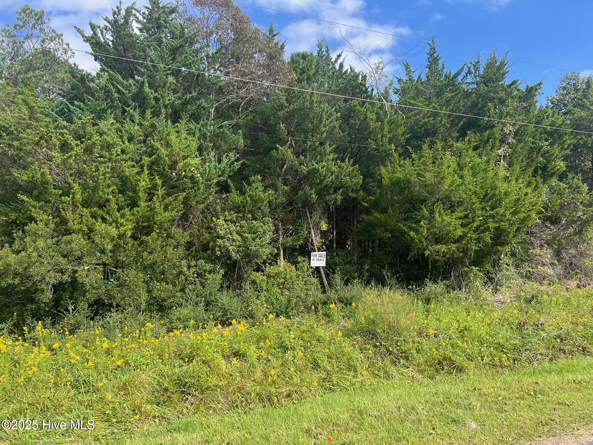 Homes for sale in Beaufort, NC | 157 Sunrise Dr, Beaufort, NC 28516 | MLS# 100538718