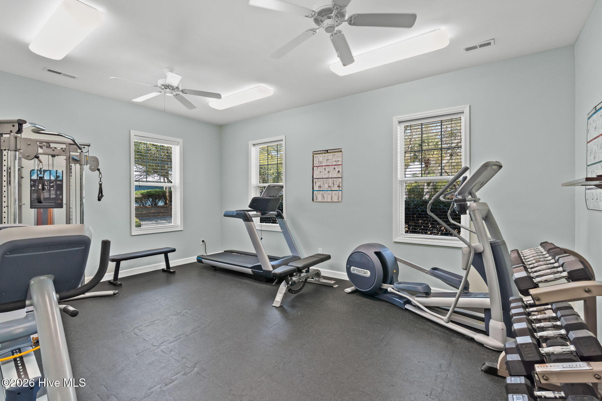 100563423 | Photo 87