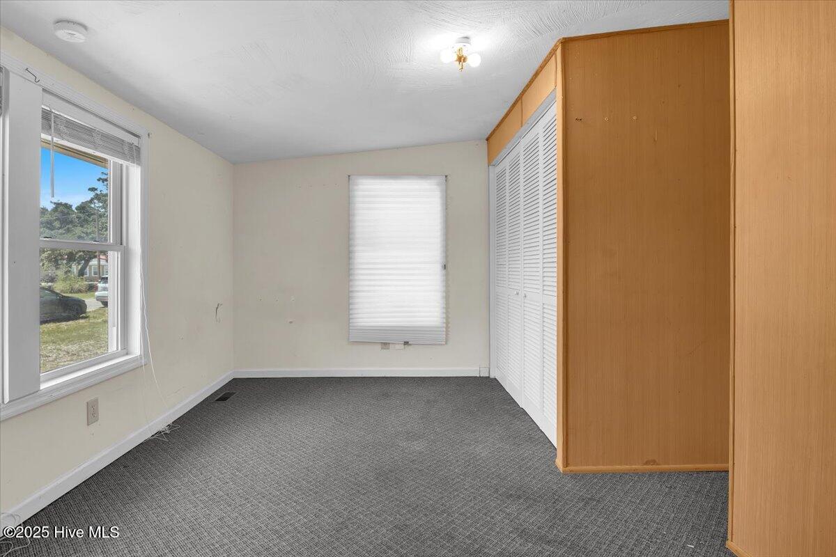 100515601 | Photo 34