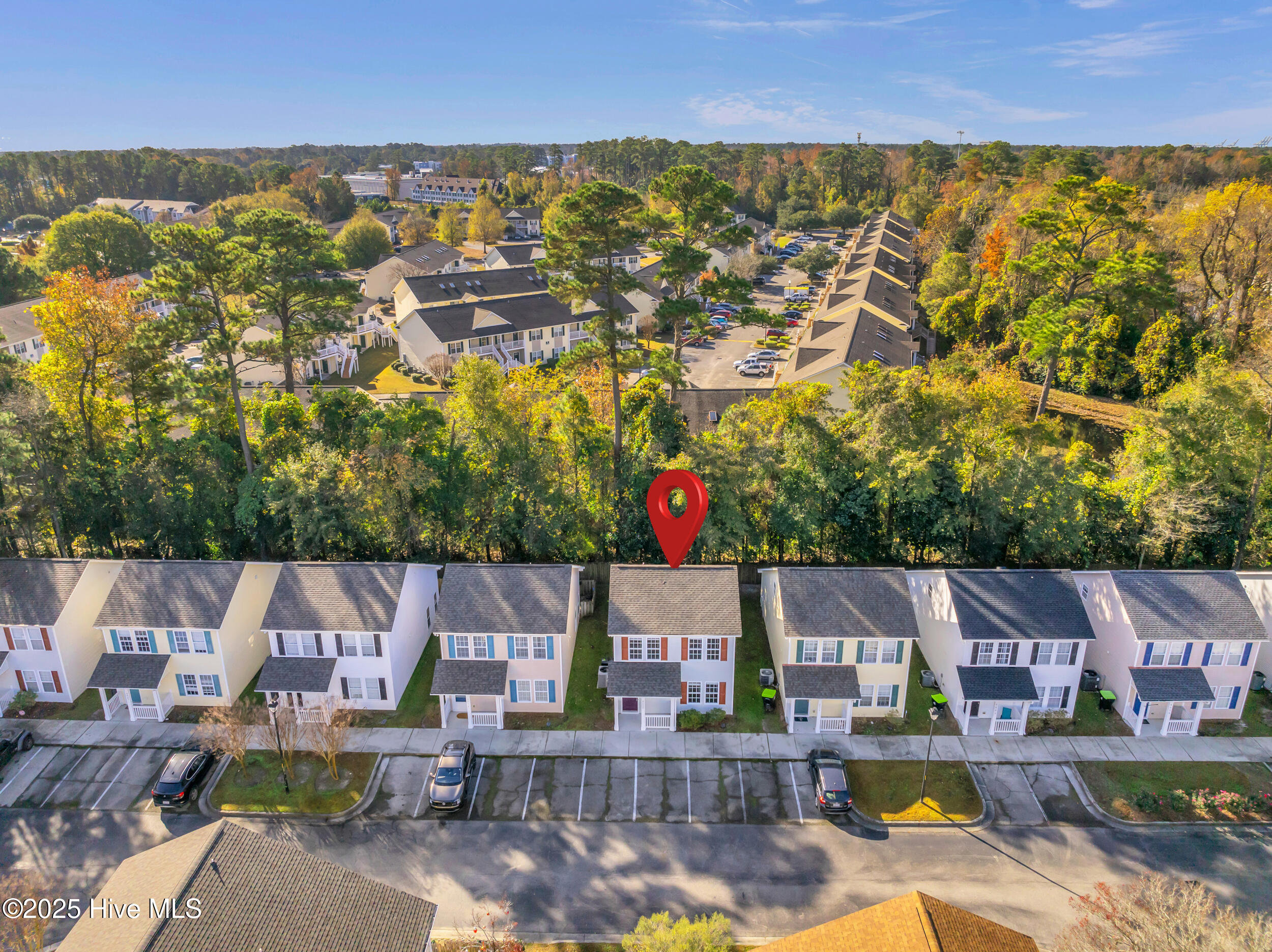 100543568 | Photo 28