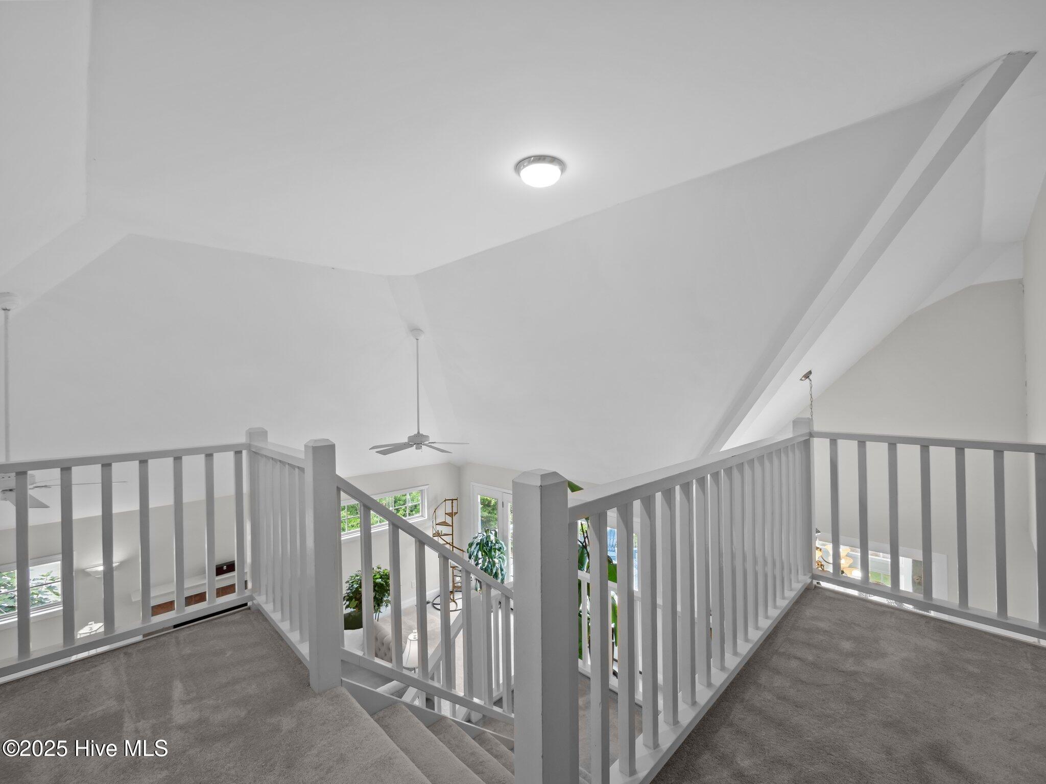 100513840 | Photo 25