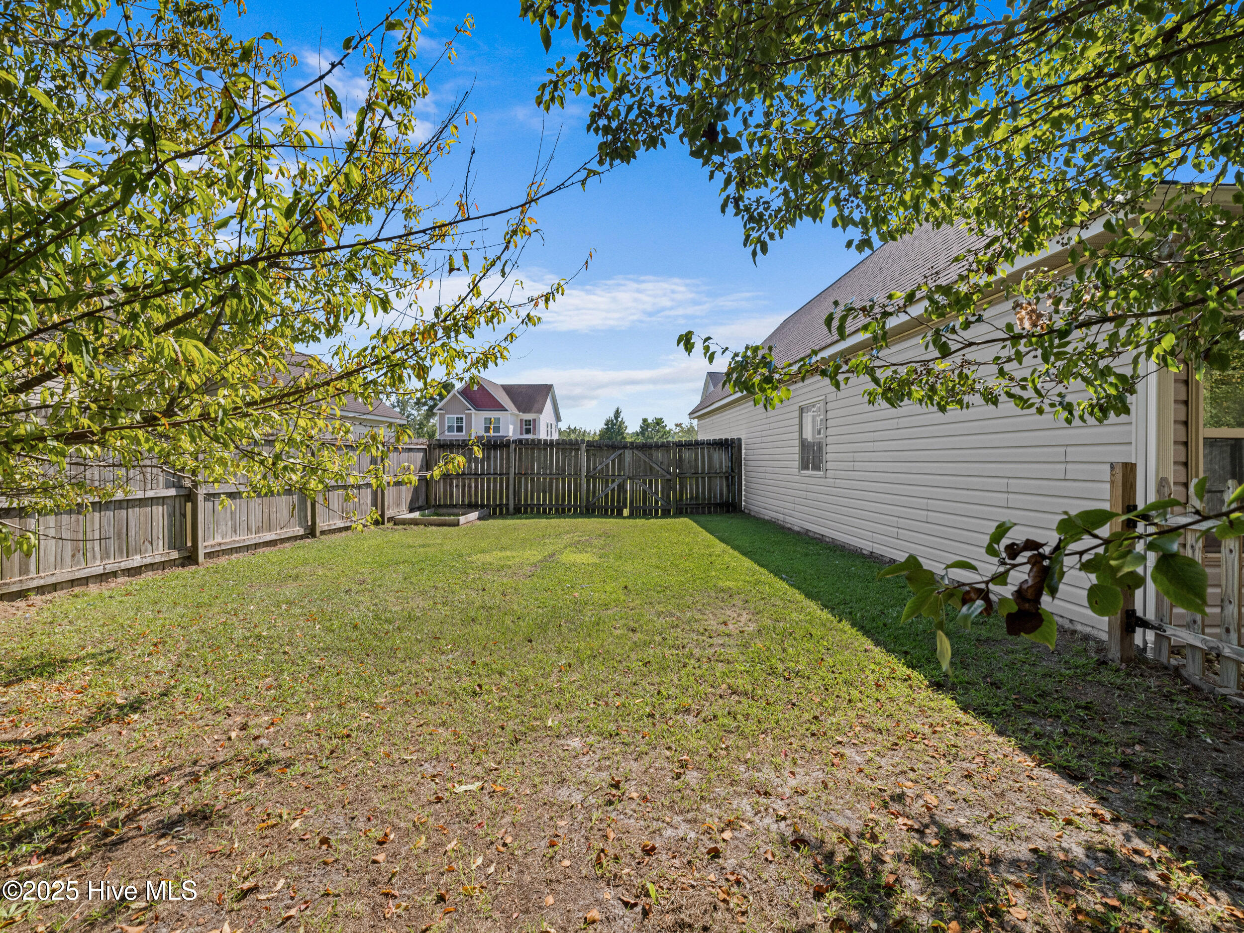 100531847 | Photo 43