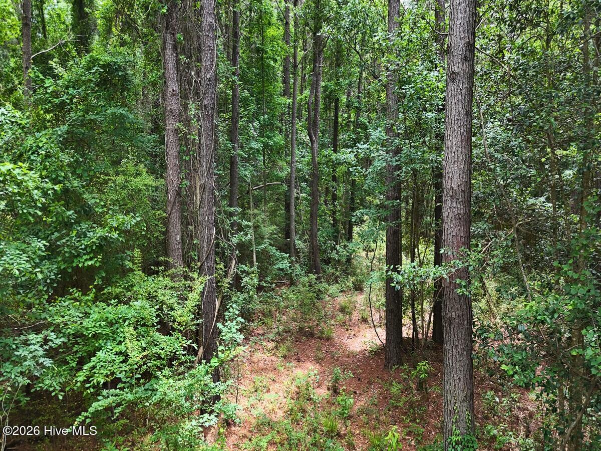 0 Ruby'S Lane,Maysville