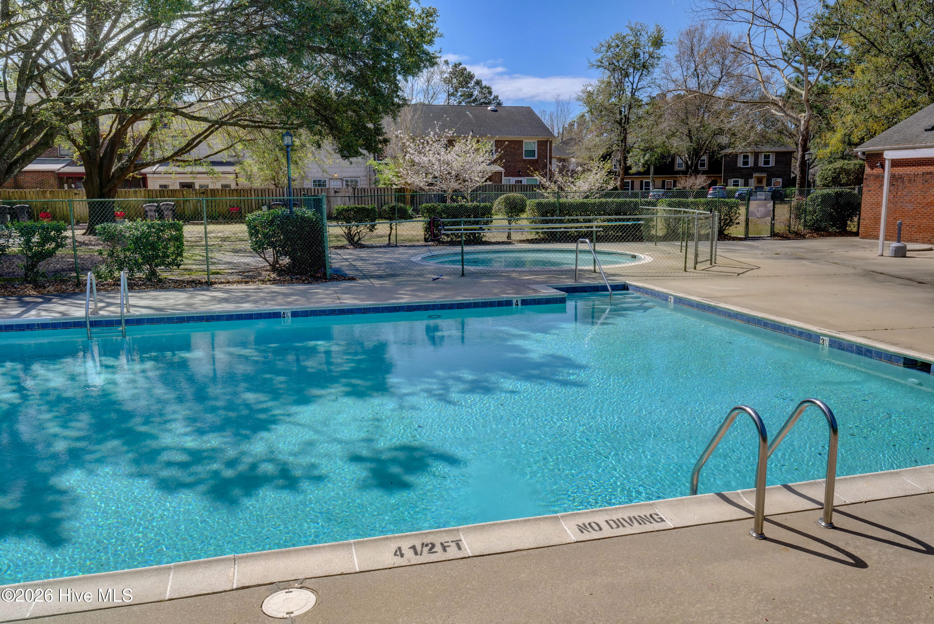 100559054 | Photo 34