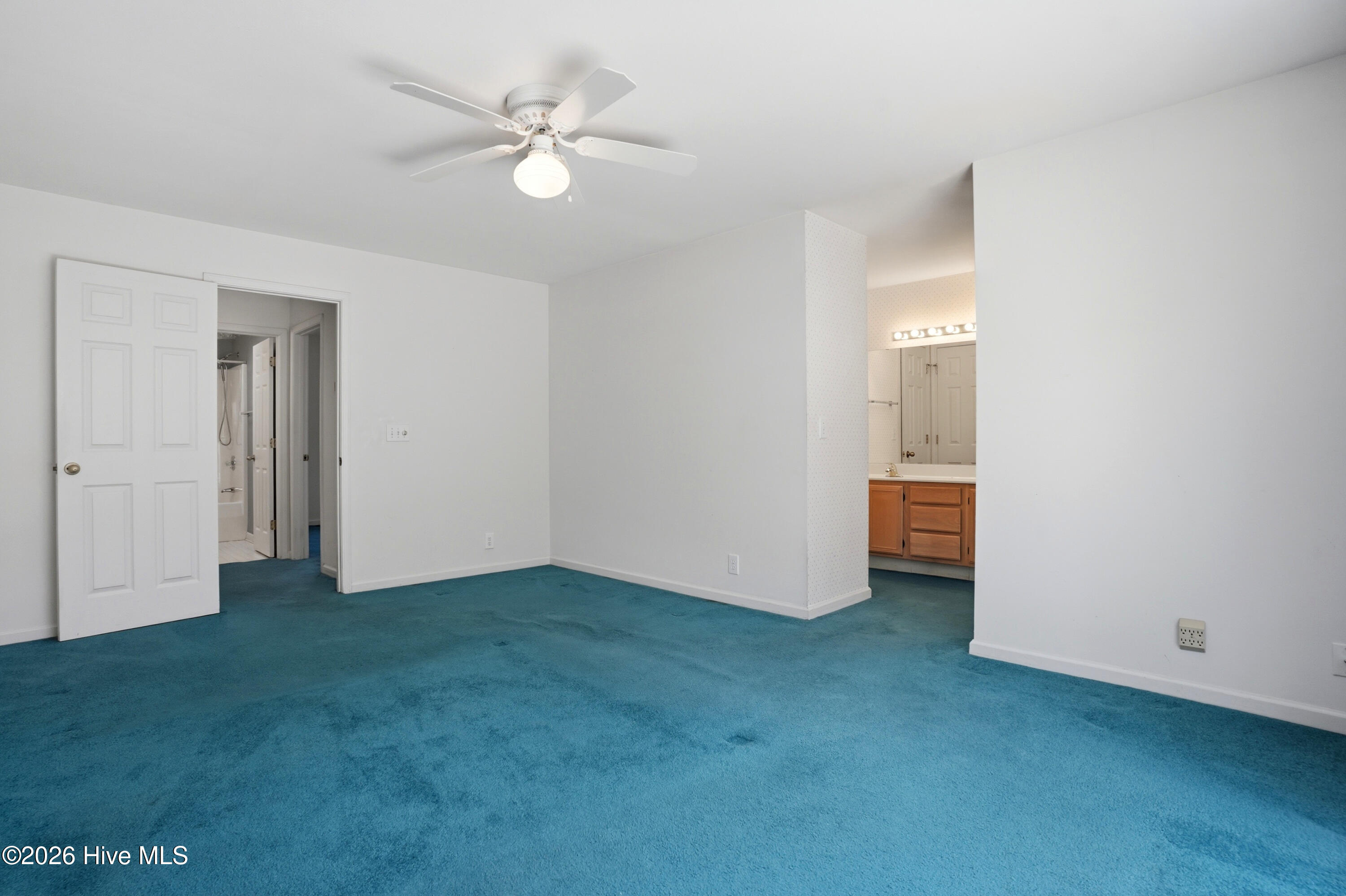 100564154 | Photo 17