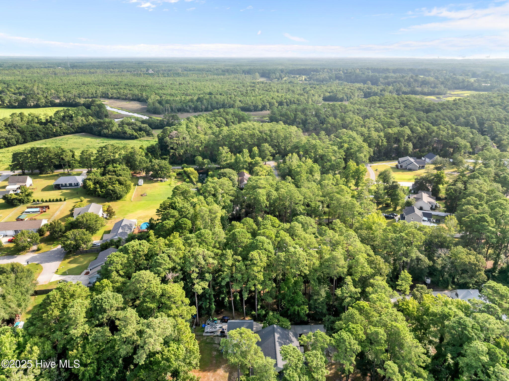 100520781 | Photo 17