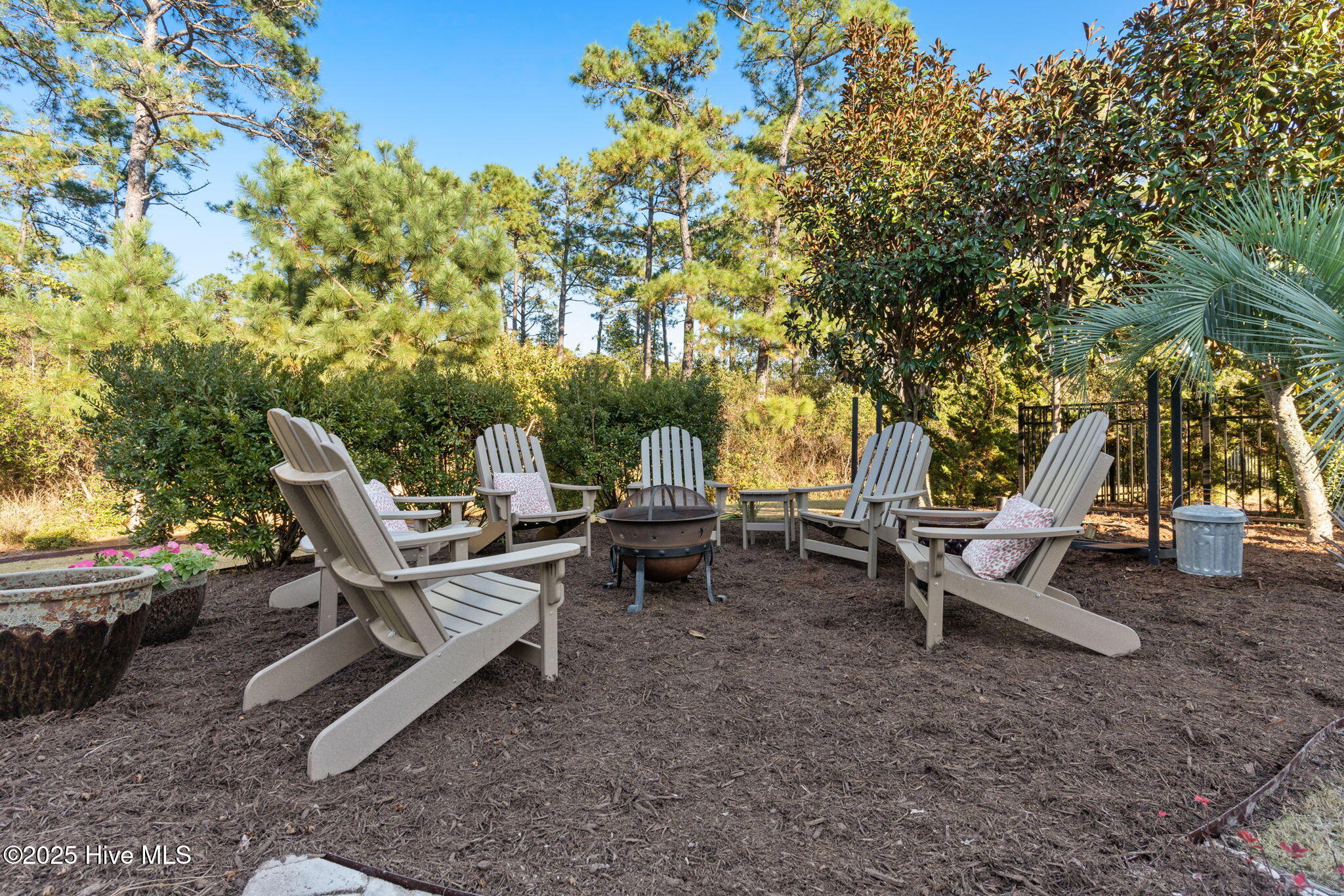 100539203 | Photo 45