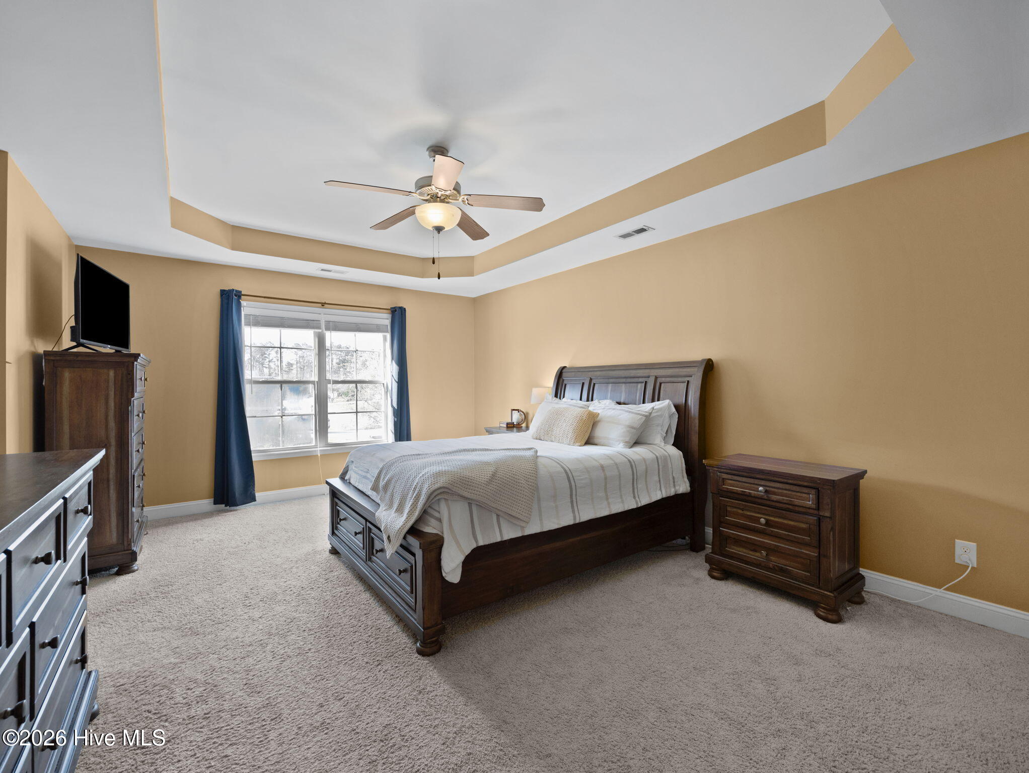 100565873 | Photo 23