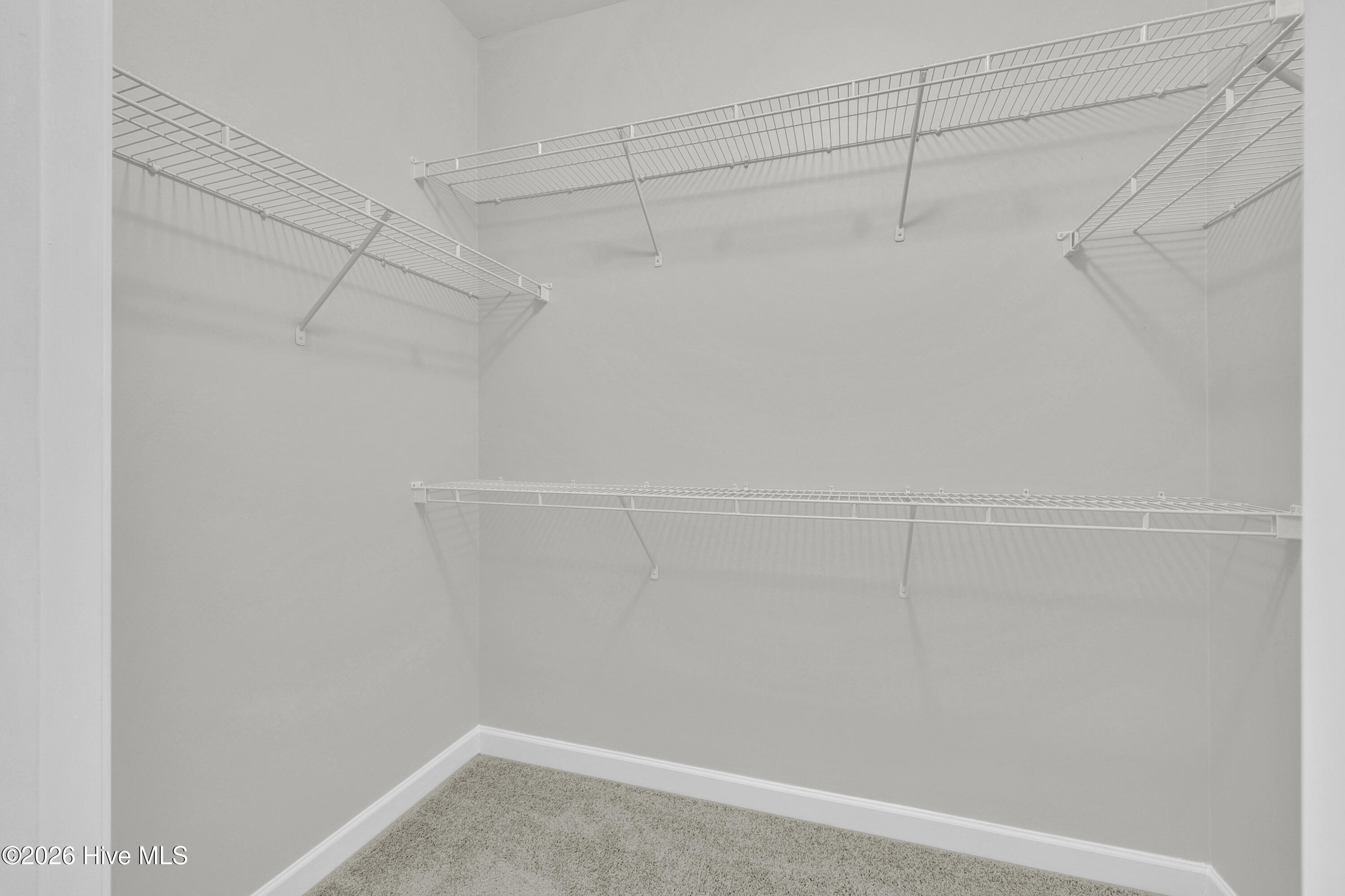 100550235 | Photo 17