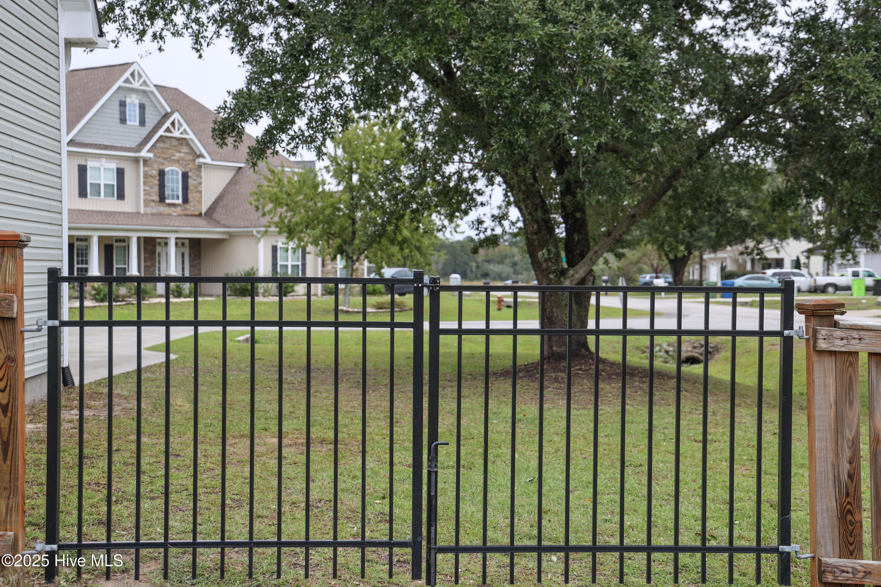 100536408 | Photo 64